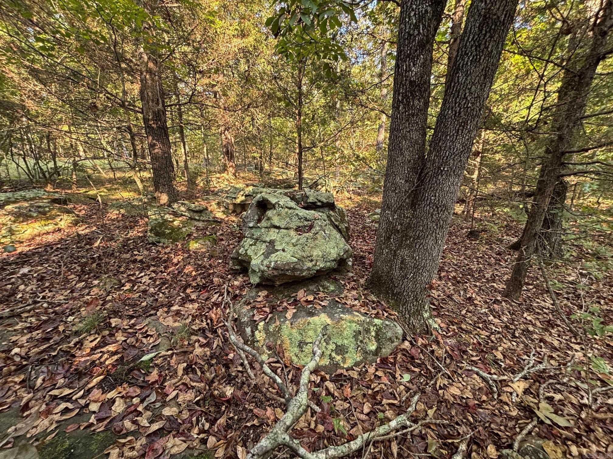 000 Jackson 5  Bradford, AR