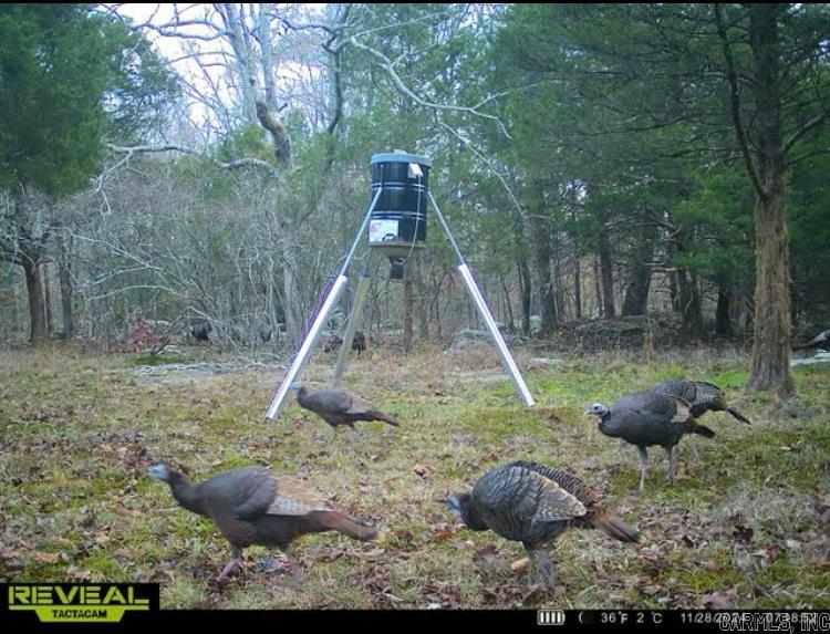 000 Jackson 5  Bradford, AR