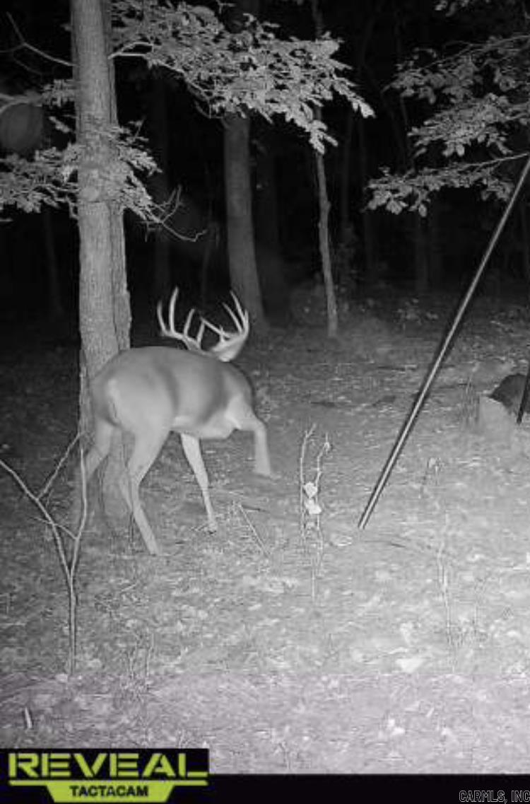 000 Jackson 5  Bradford, AR