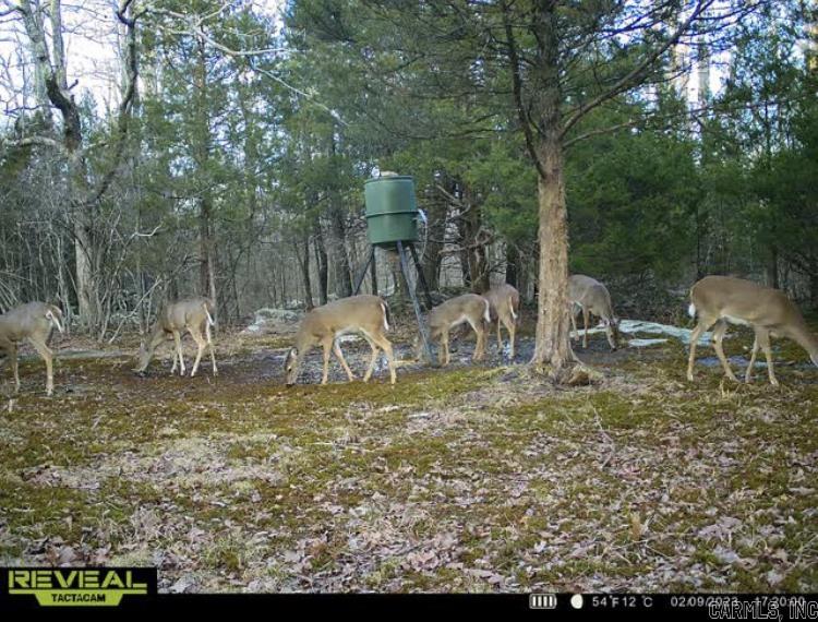 000 Jackson 5  Bradford, AR