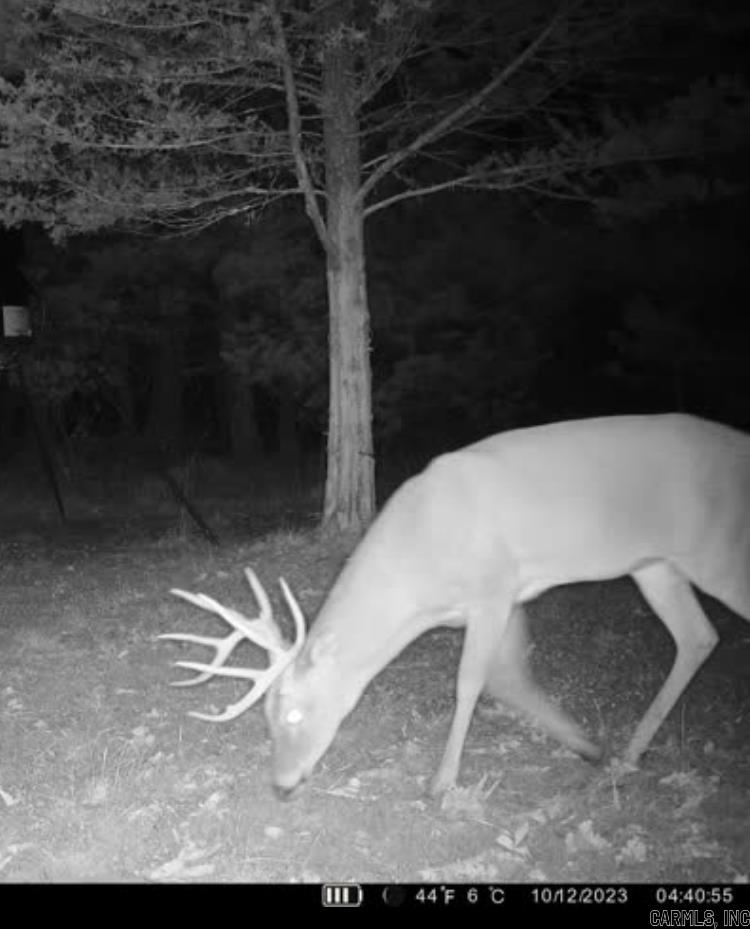 000 Jackson 5  Bradford, AR