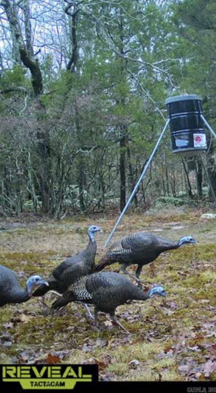 000 Jackson 5  Bradford, AR