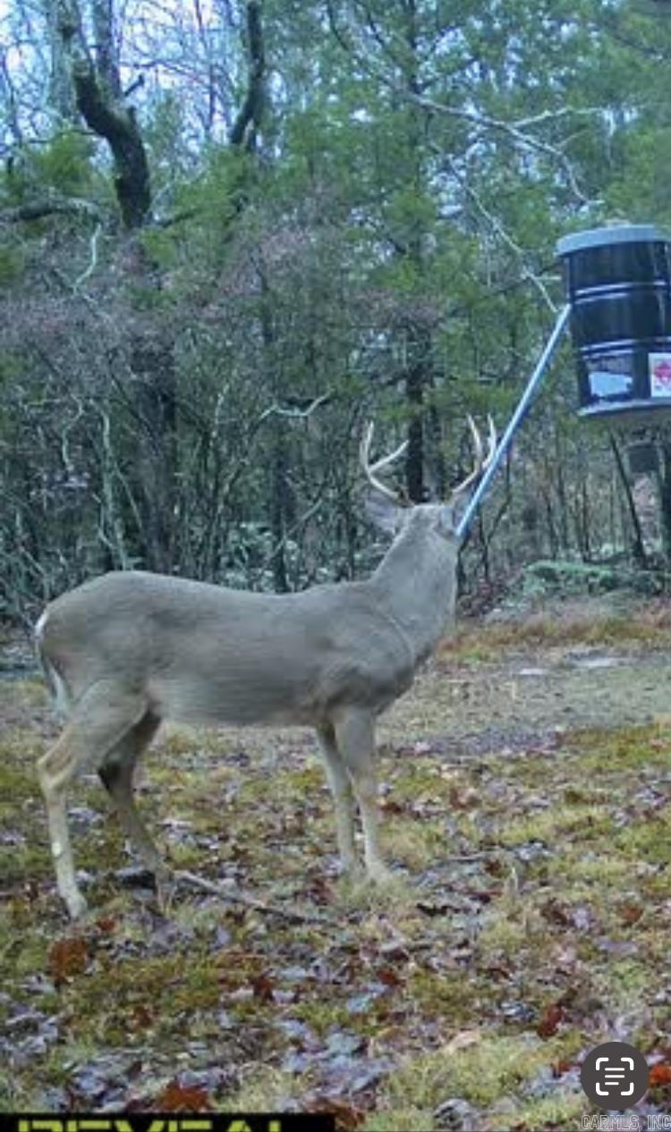 000 Jackson 5  Bradford, AR