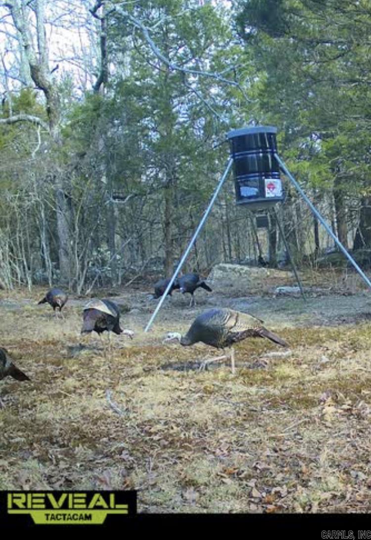 000 Jackson 5  Bradford, AR