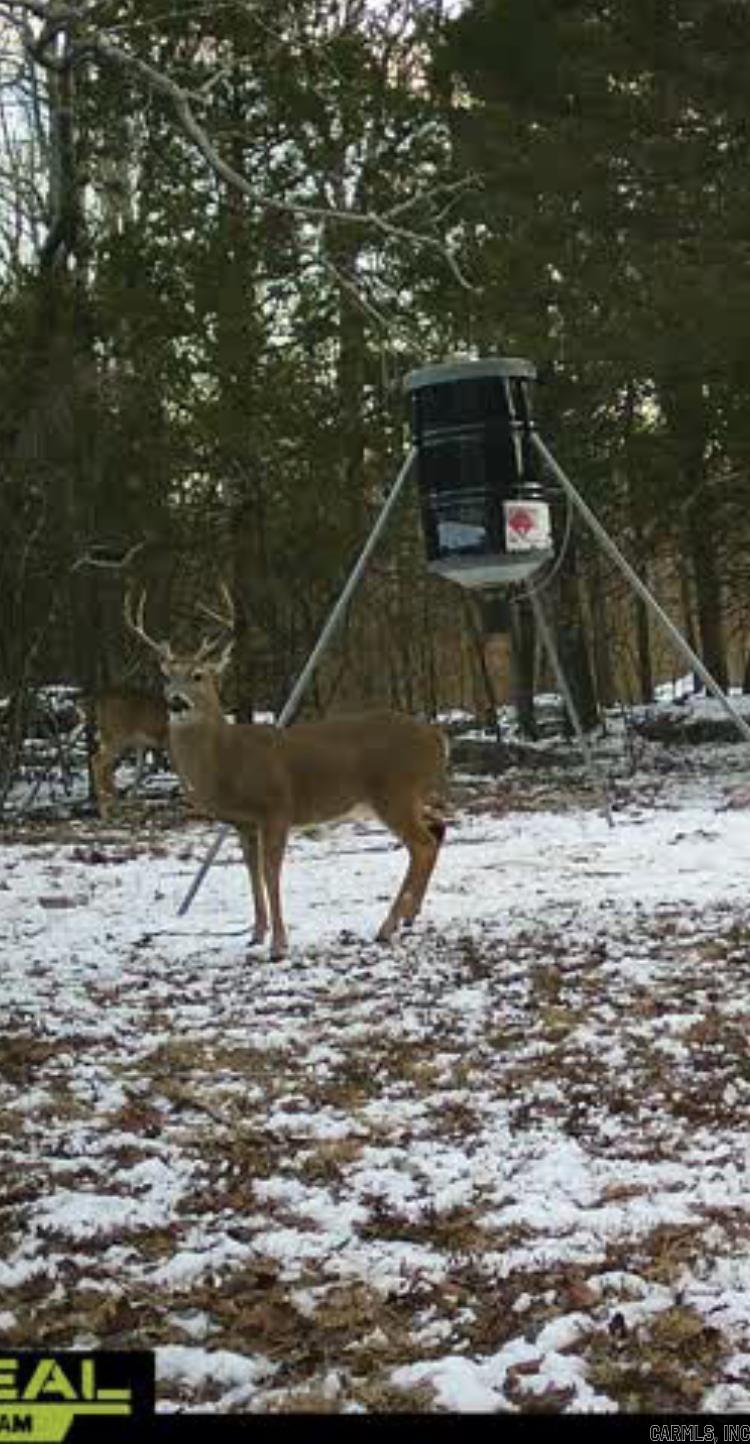 000 Jackson 5  Bradford, AR