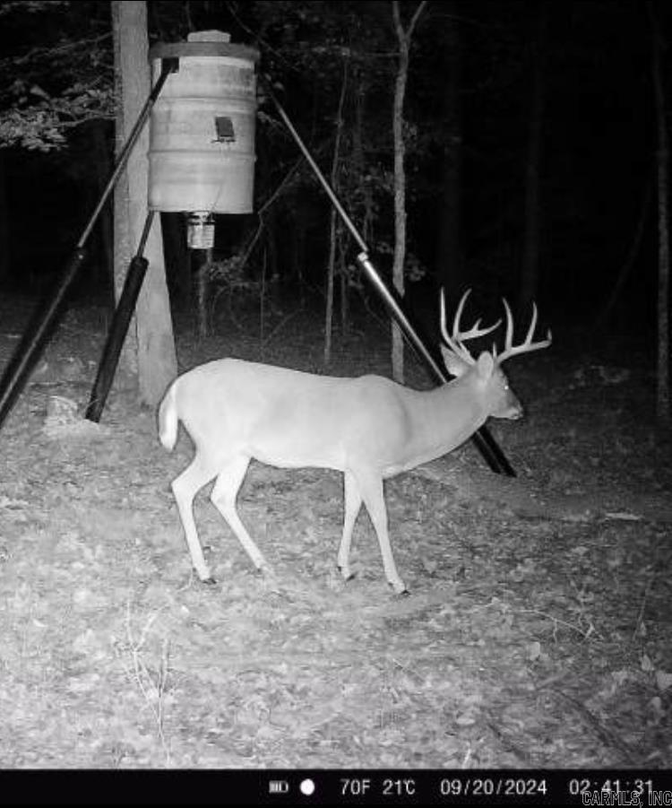 000 Jackson 5  Bradford, AR