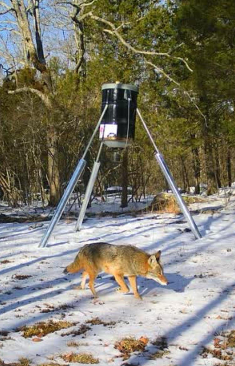 000 Jackson 5  Bradford, AR