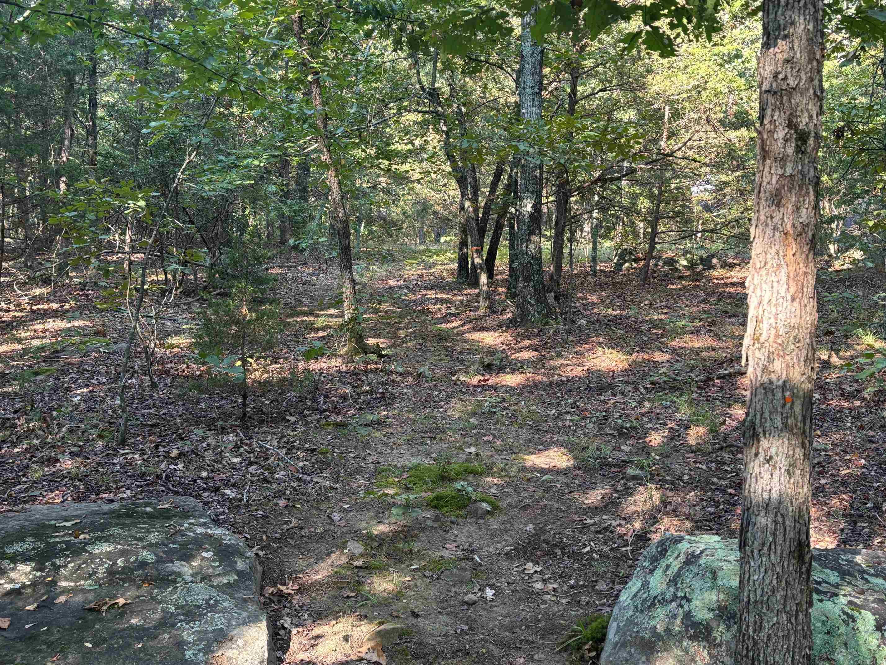 000 Jackson 5  Bradford, AR