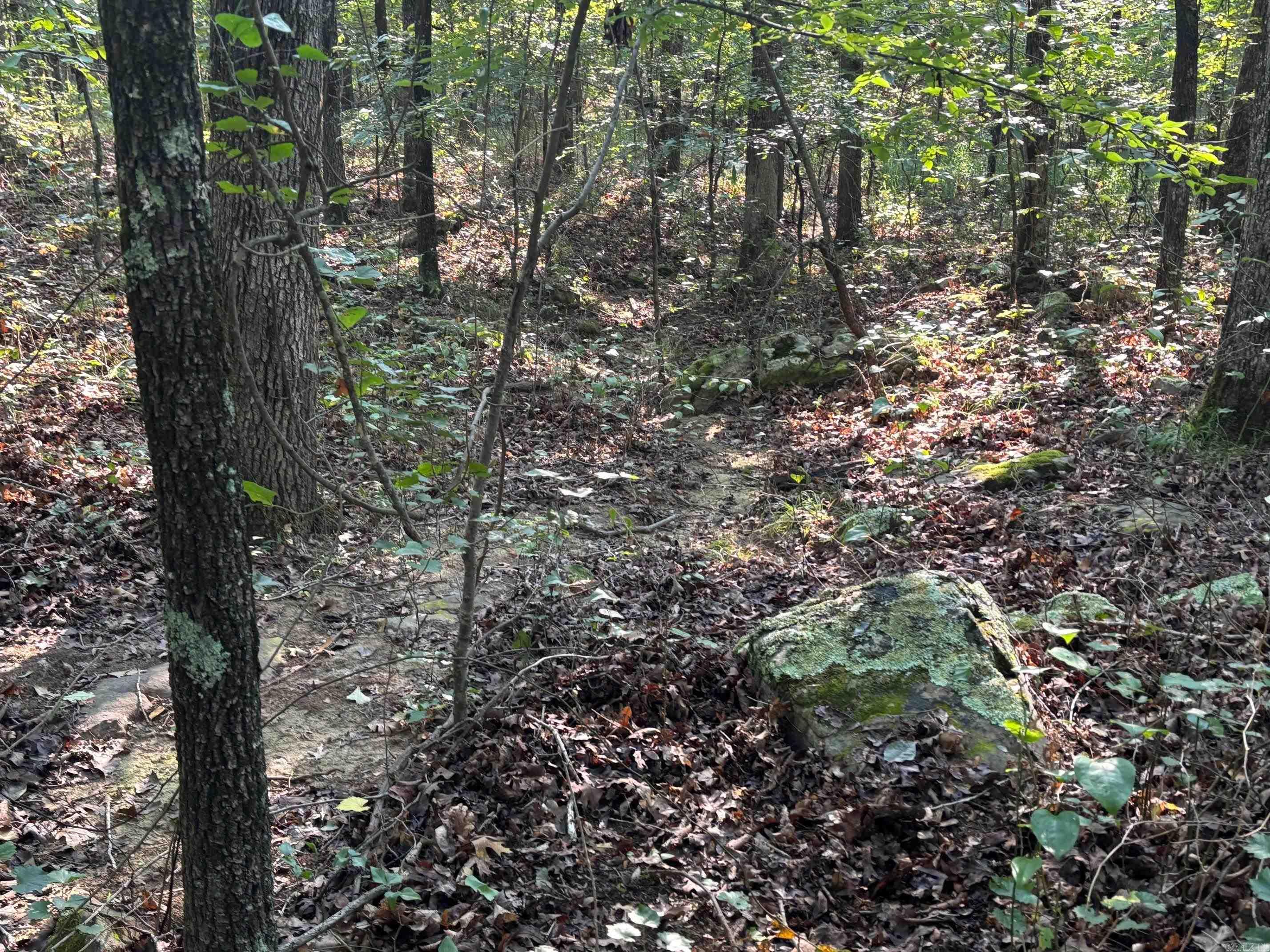 000 Jackson 5  Bradford, AR