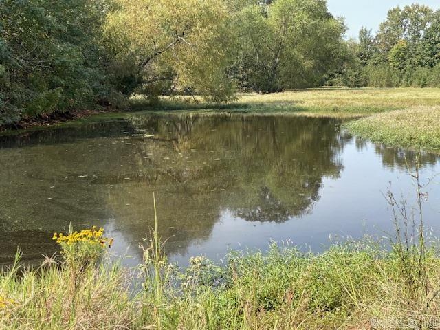 1524 Bland Chapel rd  Ward, AR