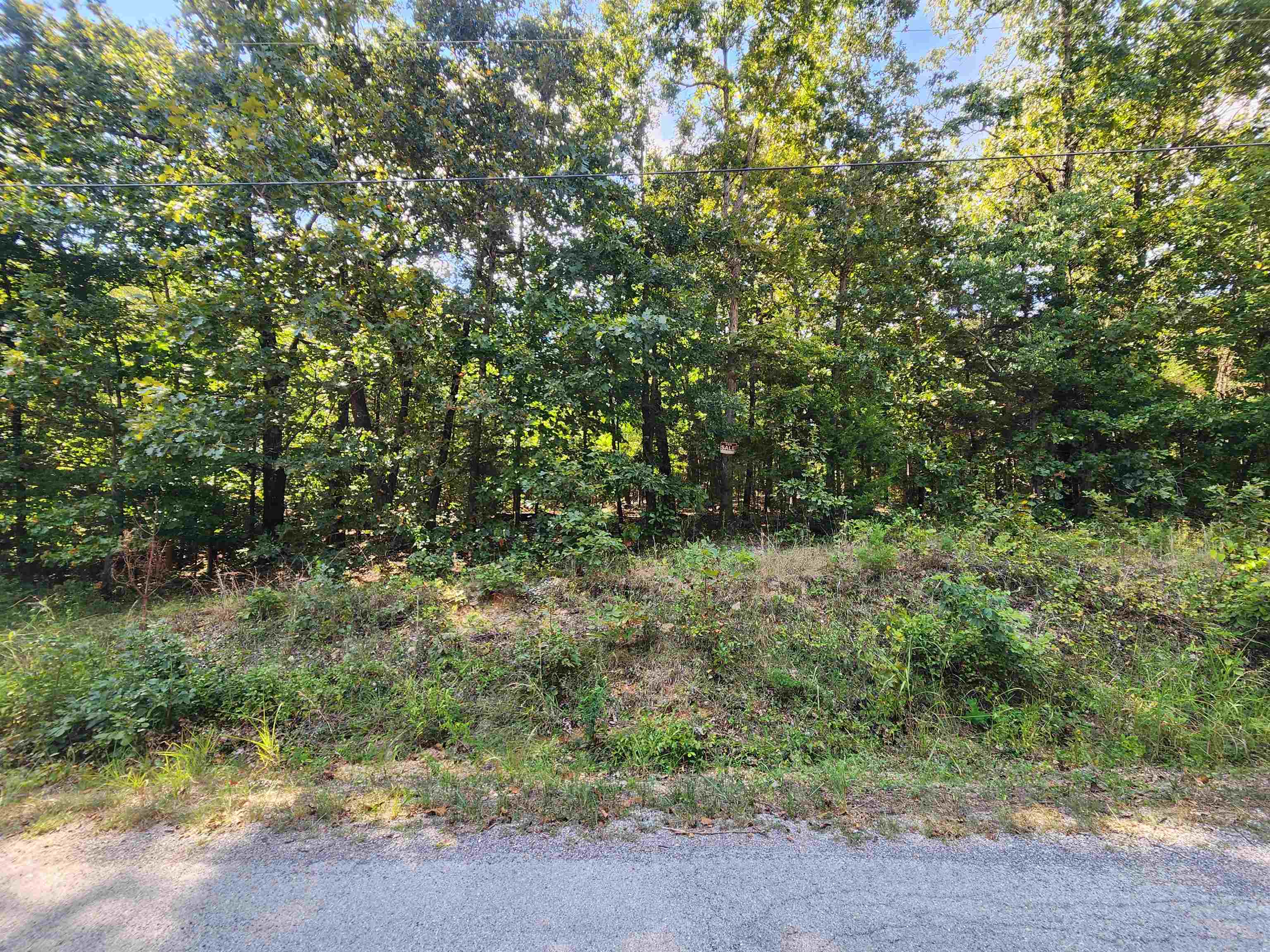 L-41, B-8 Winnebago  Cherokee Village, AR