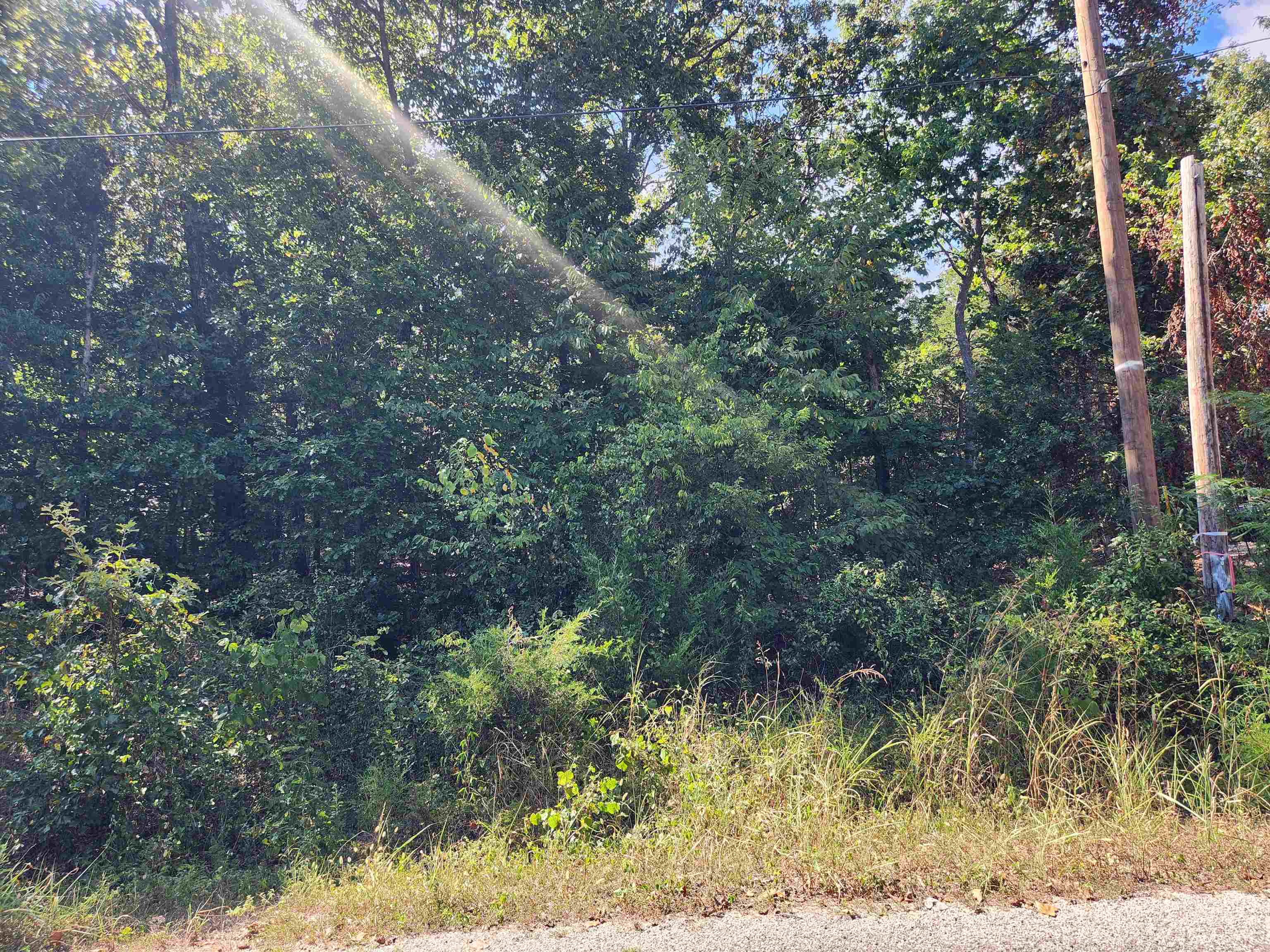 L-41, B-8 Winnebago  Cherokee Village, AR