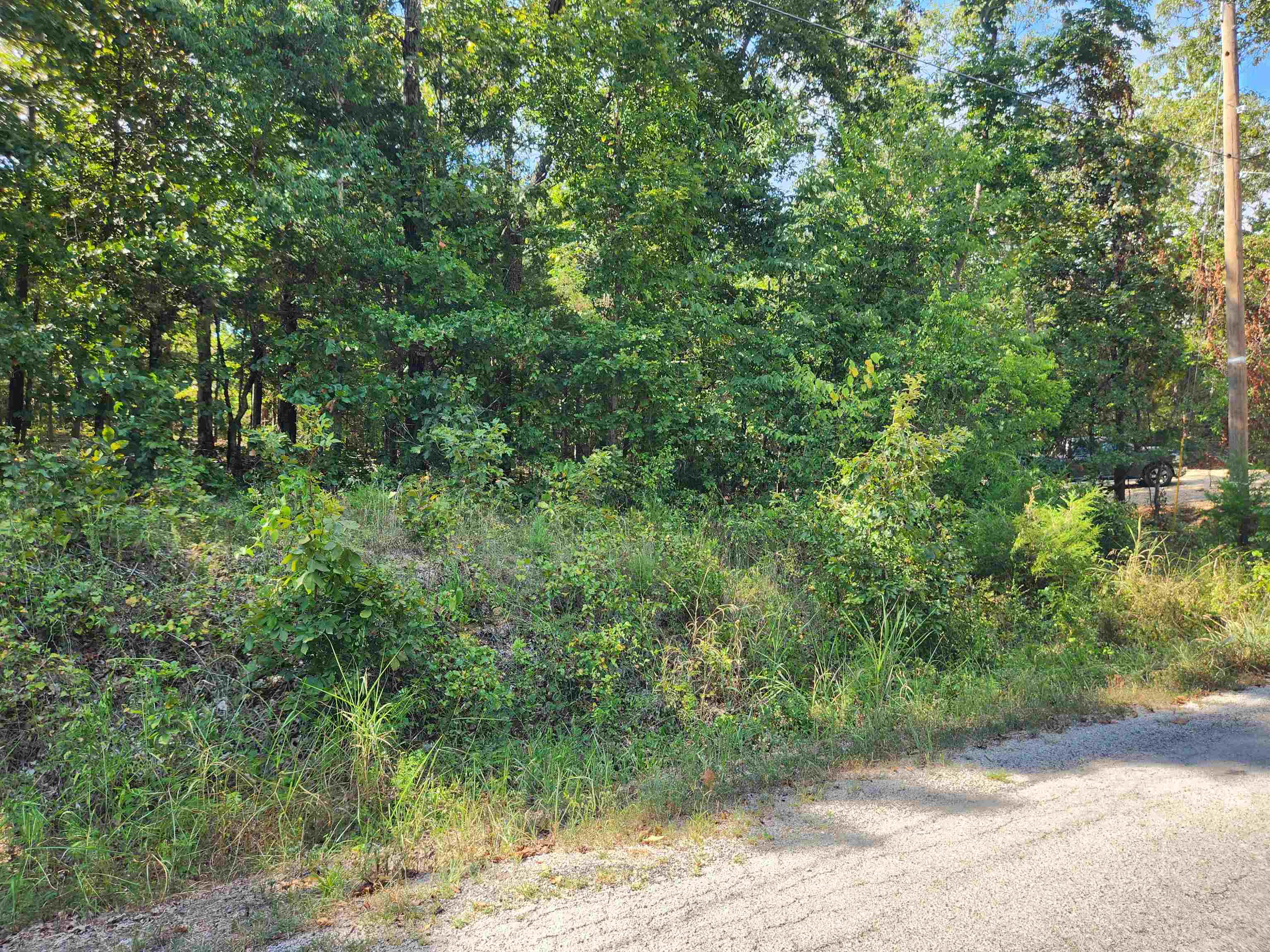 L-41, B-8 Winnebago  Cherokee Village, AR