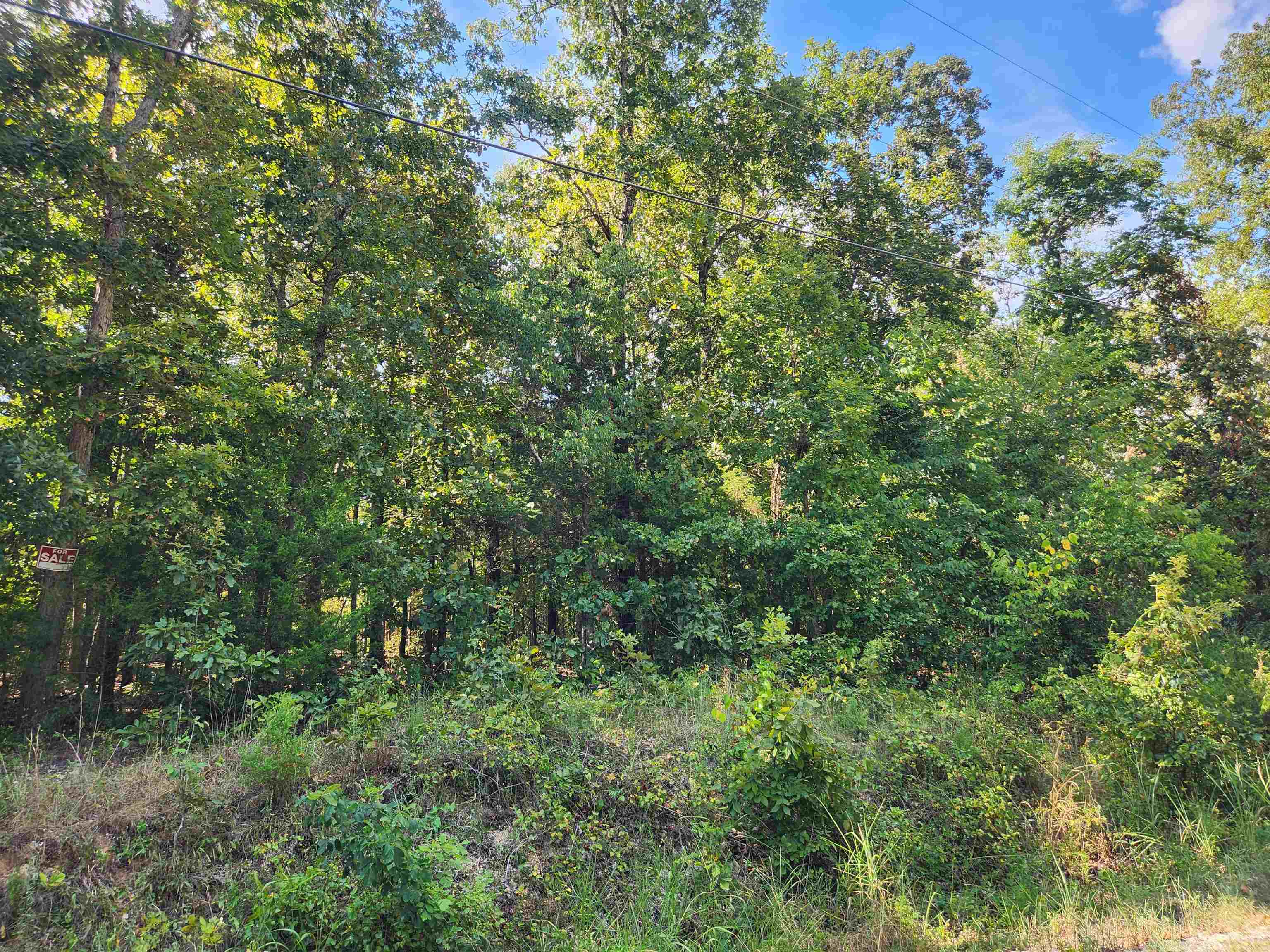 L-41, B-8 Winnebago  Cherokee Village, AR