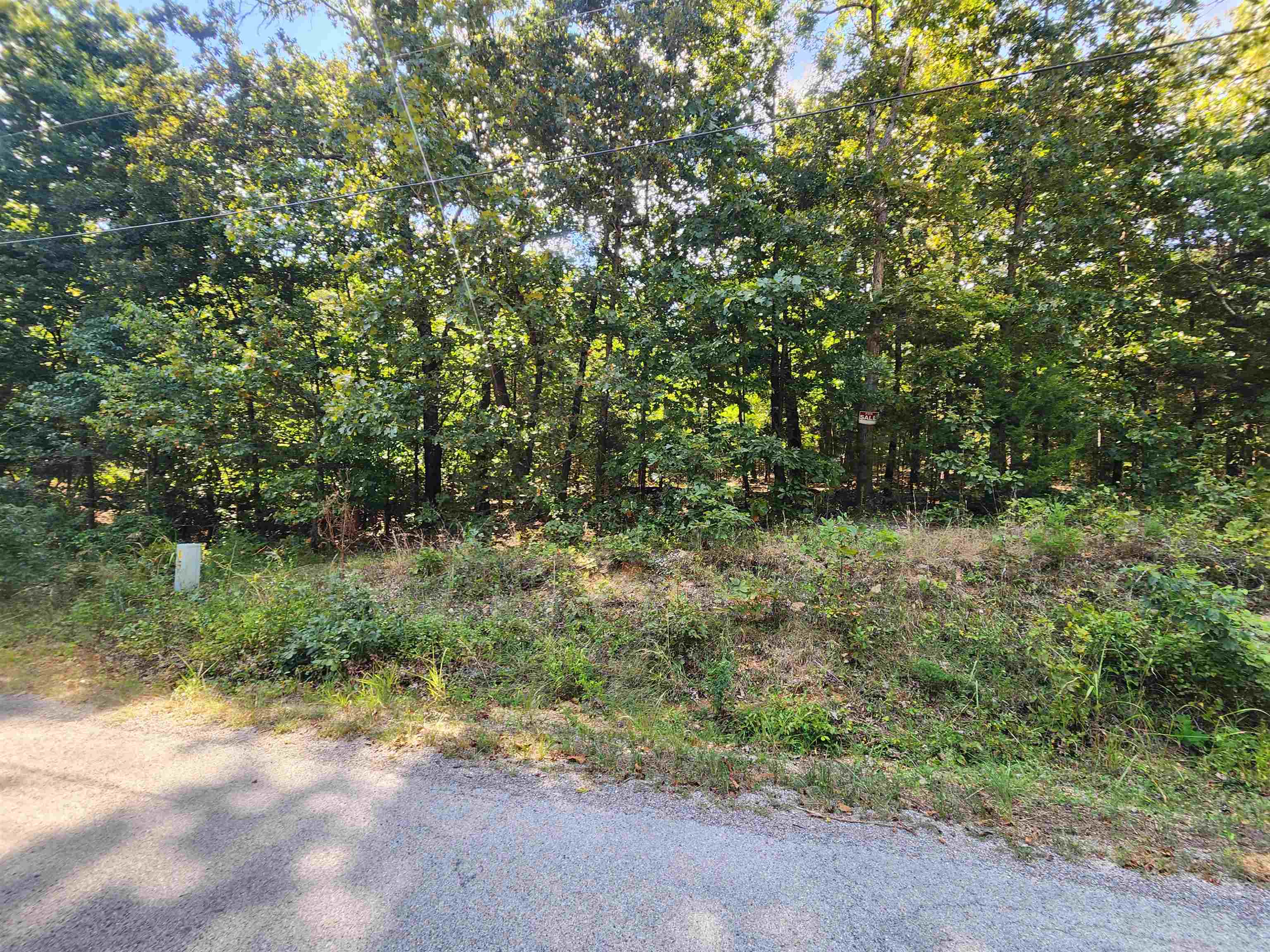 L-41, B-8 Winnebago  Cherokee Village, AR