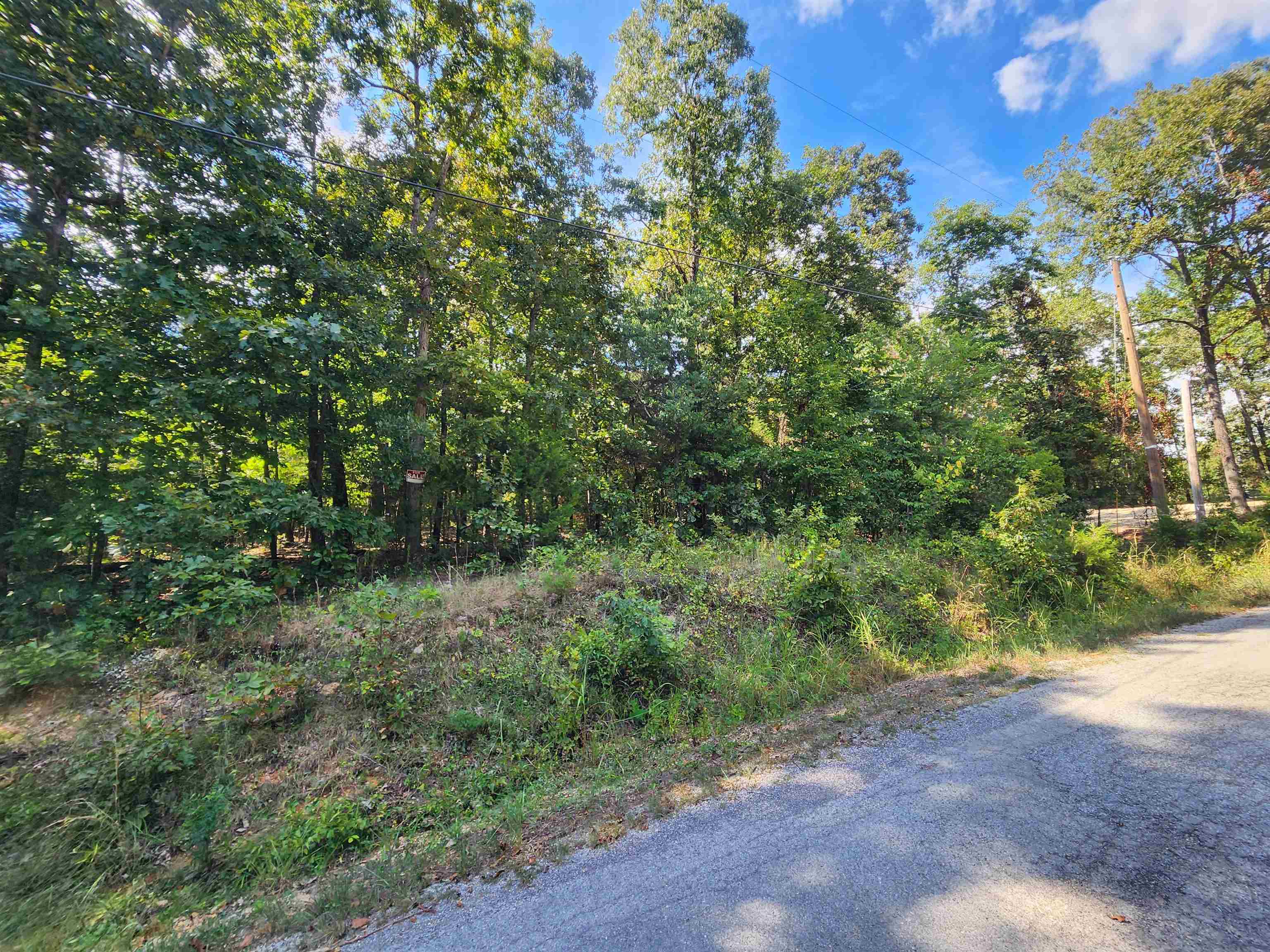 L-41, B-8 Winnebago  Cherokee Village, AR