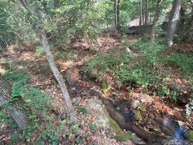 271 Old Rush Creek  Yellville, AR