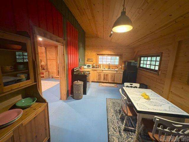 271 Old Rush Creek  Yellville, AR