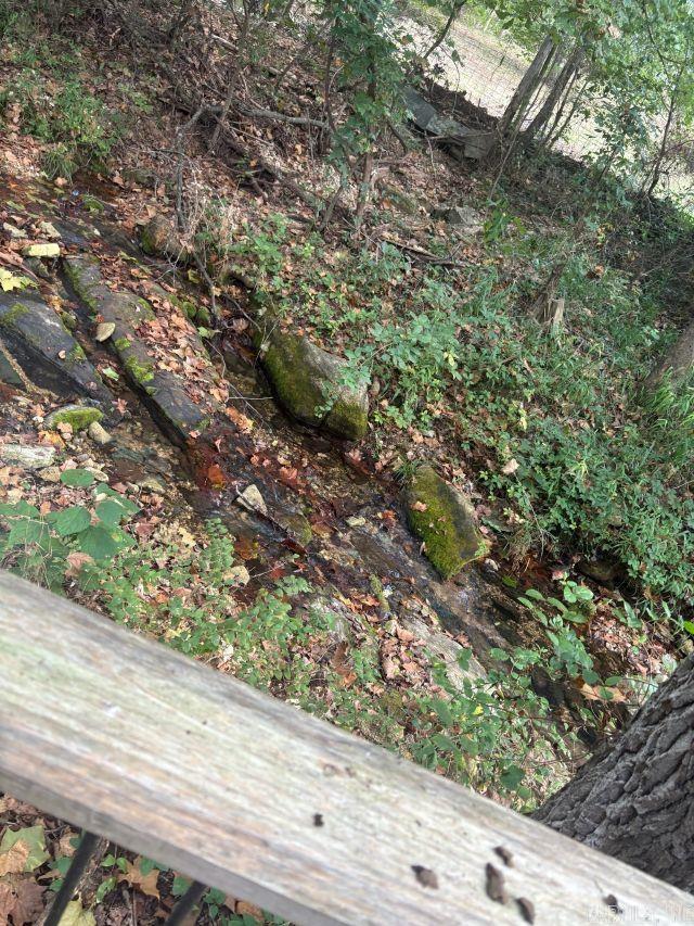 271 Old Rush Creek  Yellville, AR