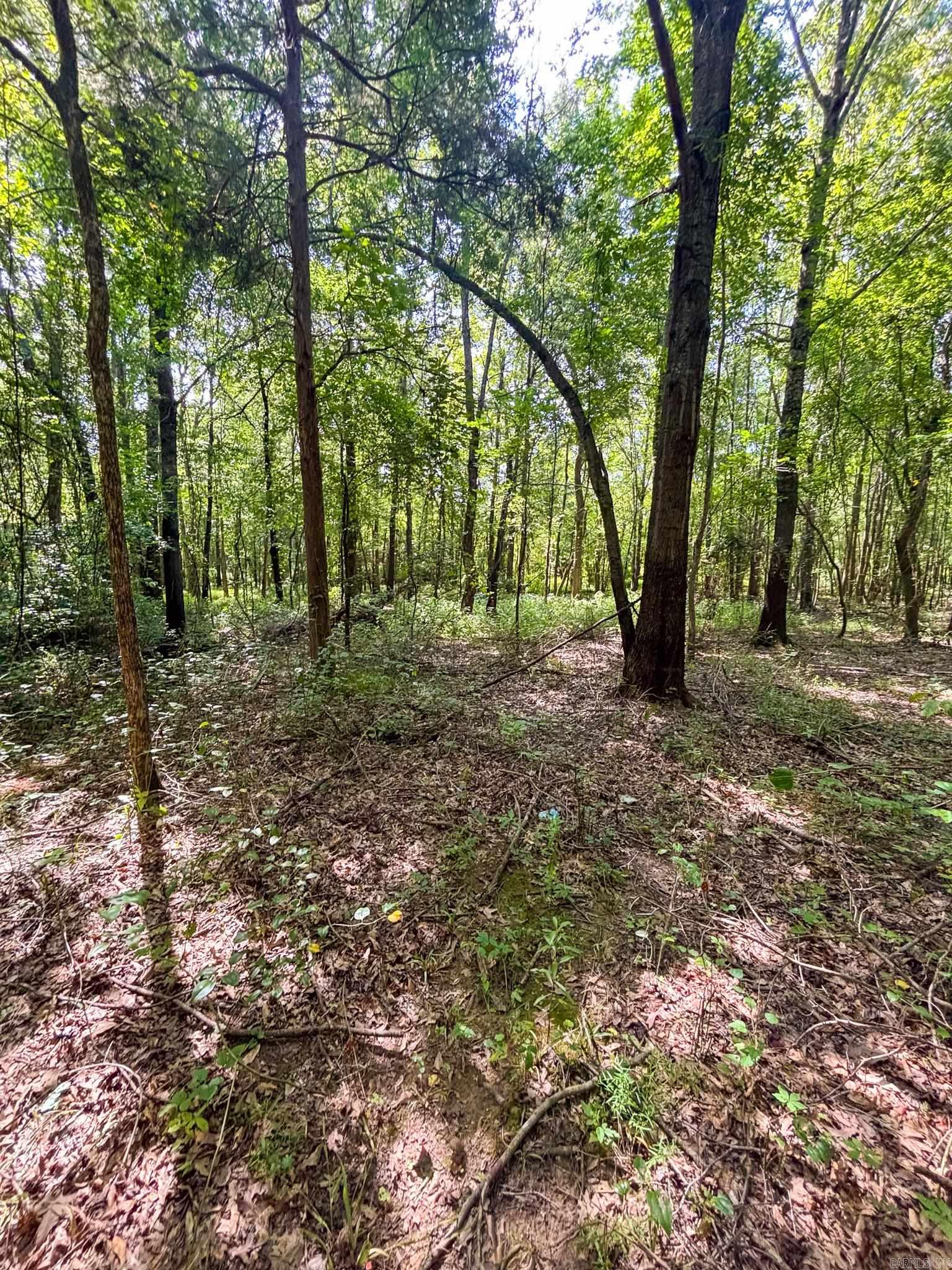  Kenneth  Houston, AR