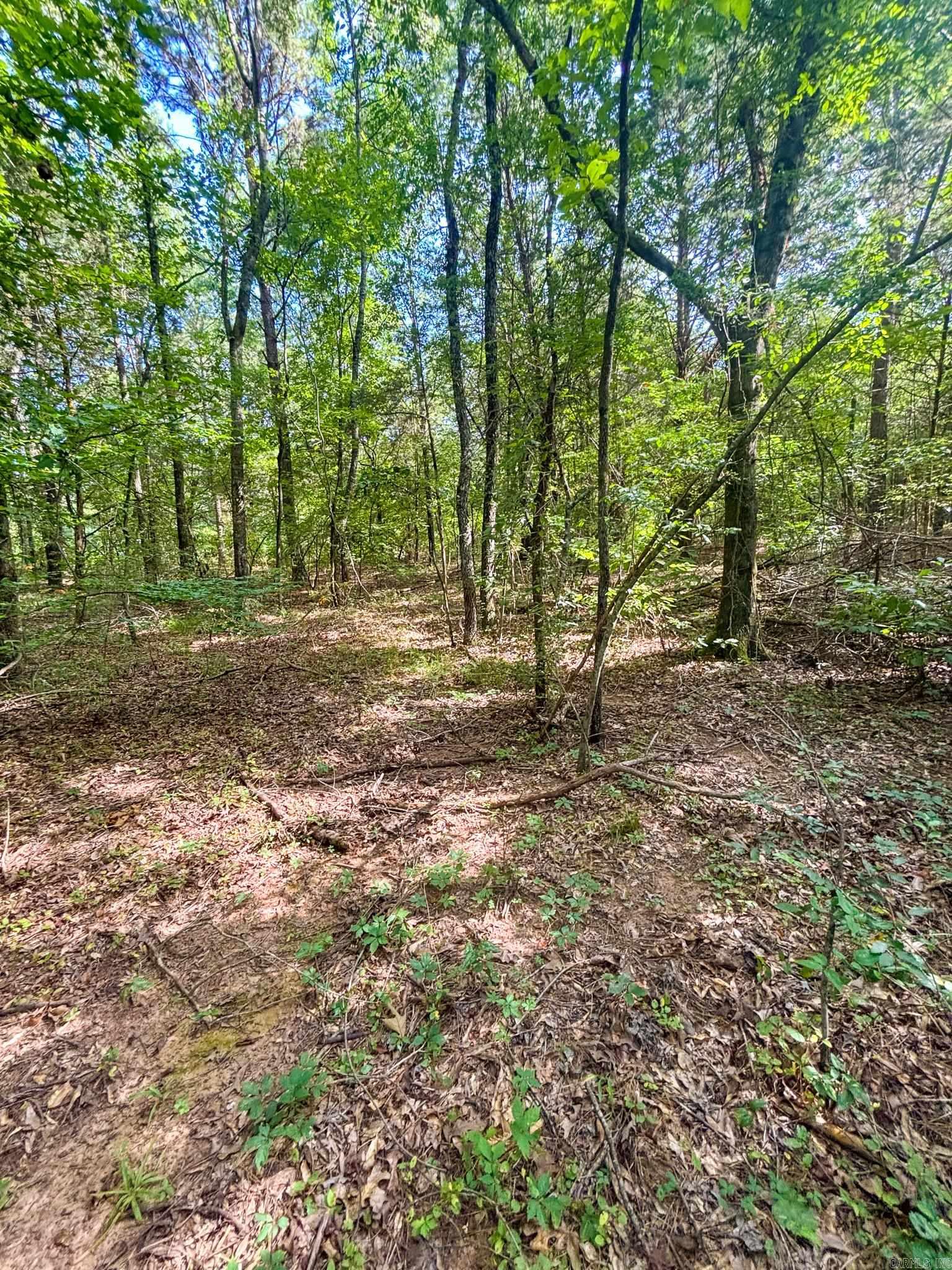  Kenneth  Houston, AR