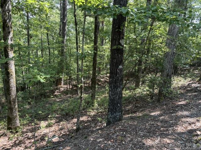 11 Nisa  Hot Springs Village, AR