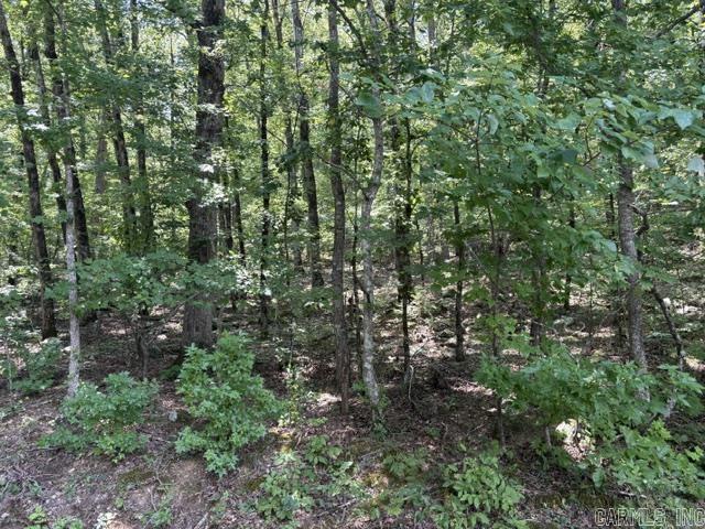 11 Nisa  Hot Springs Village, AR