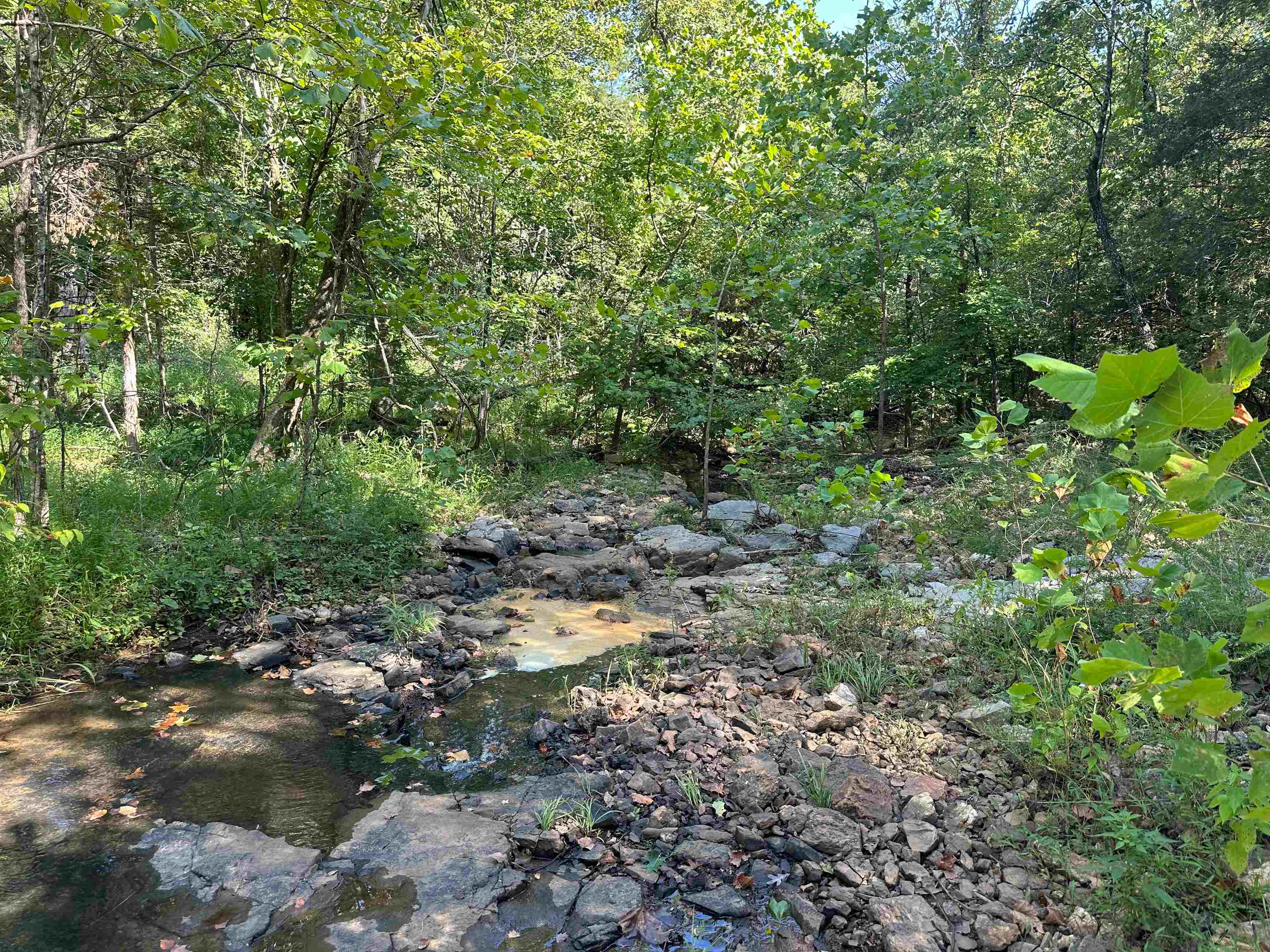 000 63  Hardy, AR