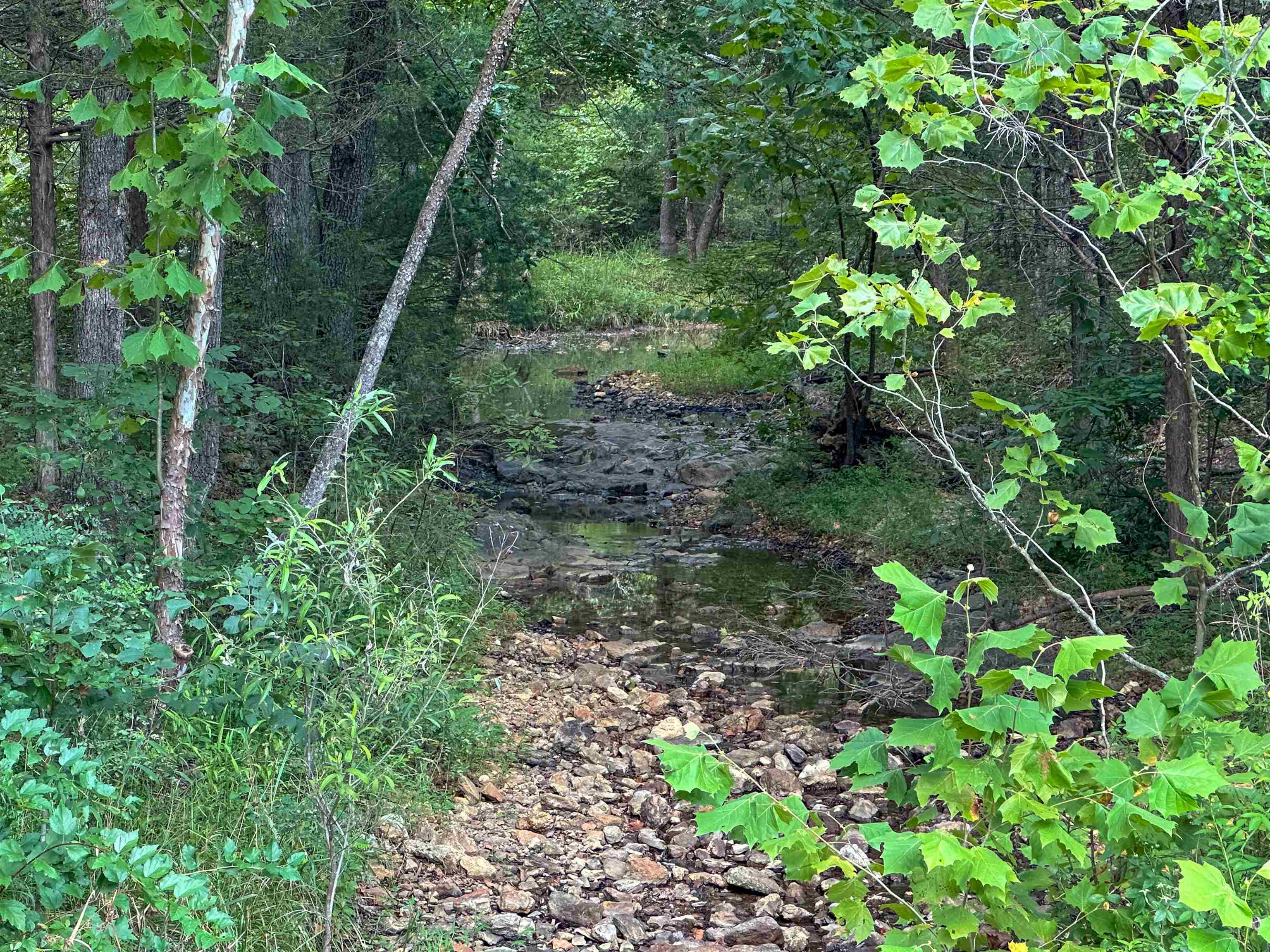 000 63  Hardy, AR