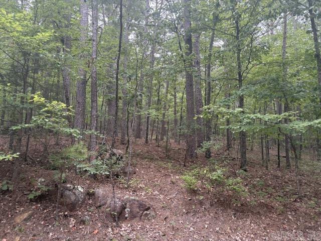  Lago  Hot Springs Village, AR