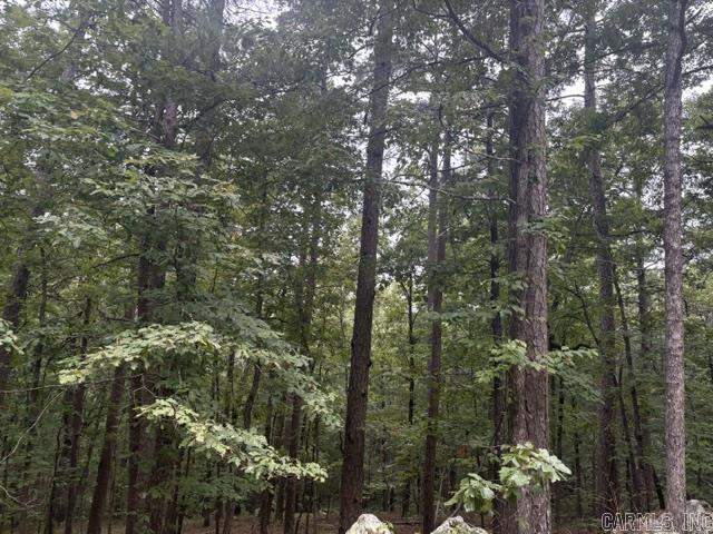  Lago  Hot Springs Village, AR