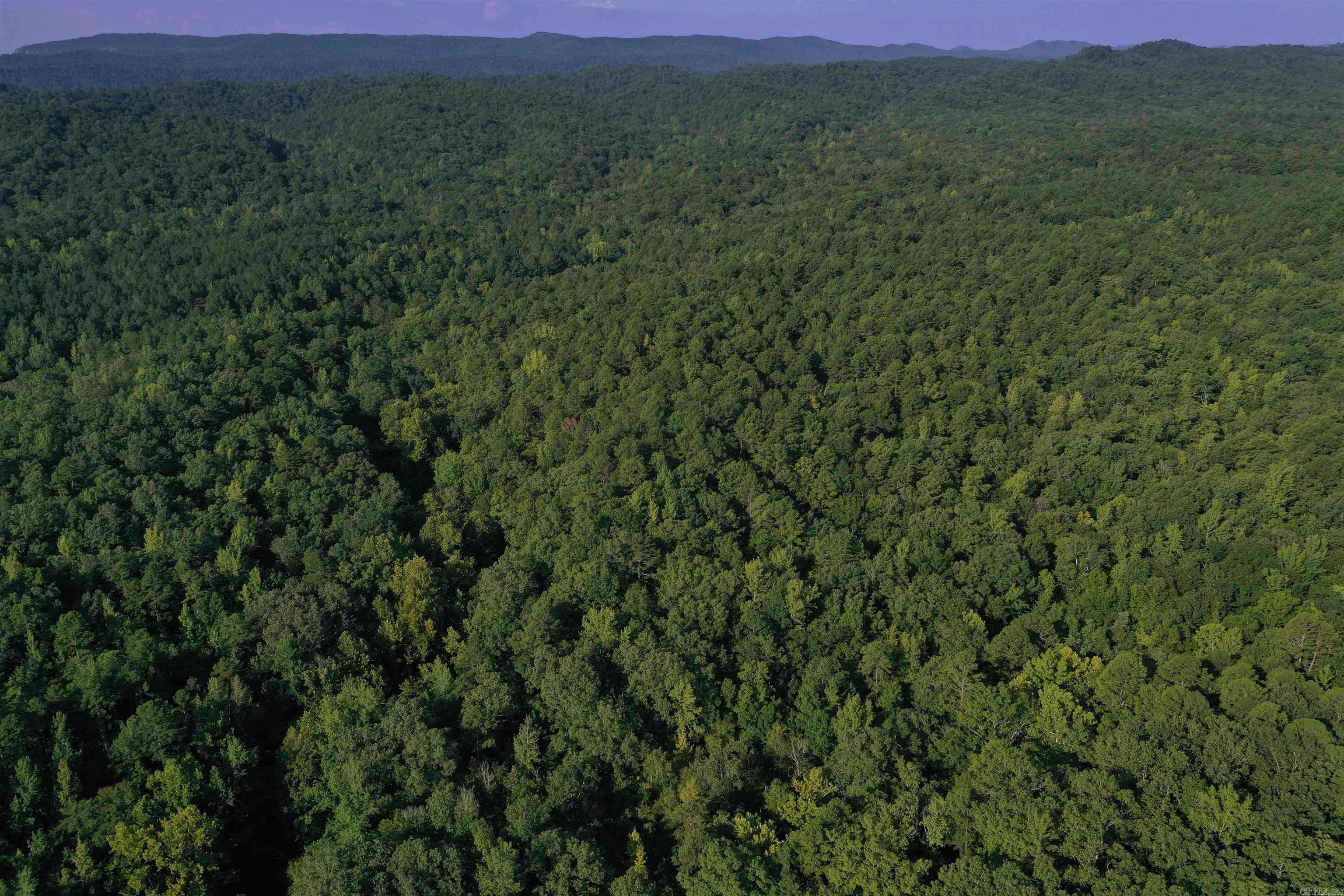 0000 Beech Creek Road  Norman, AR