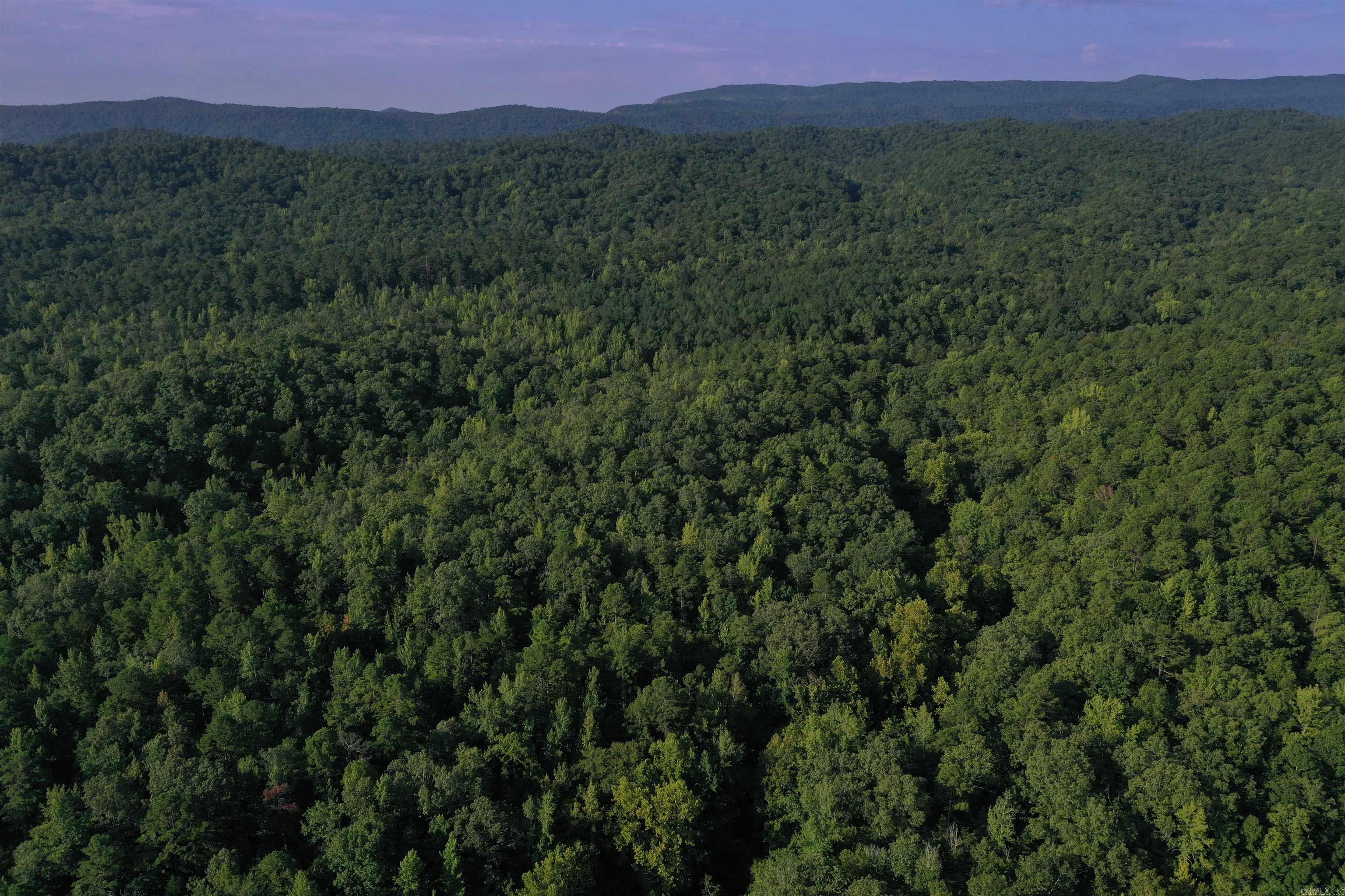 0000 Beech Creek Road  Norman, AR