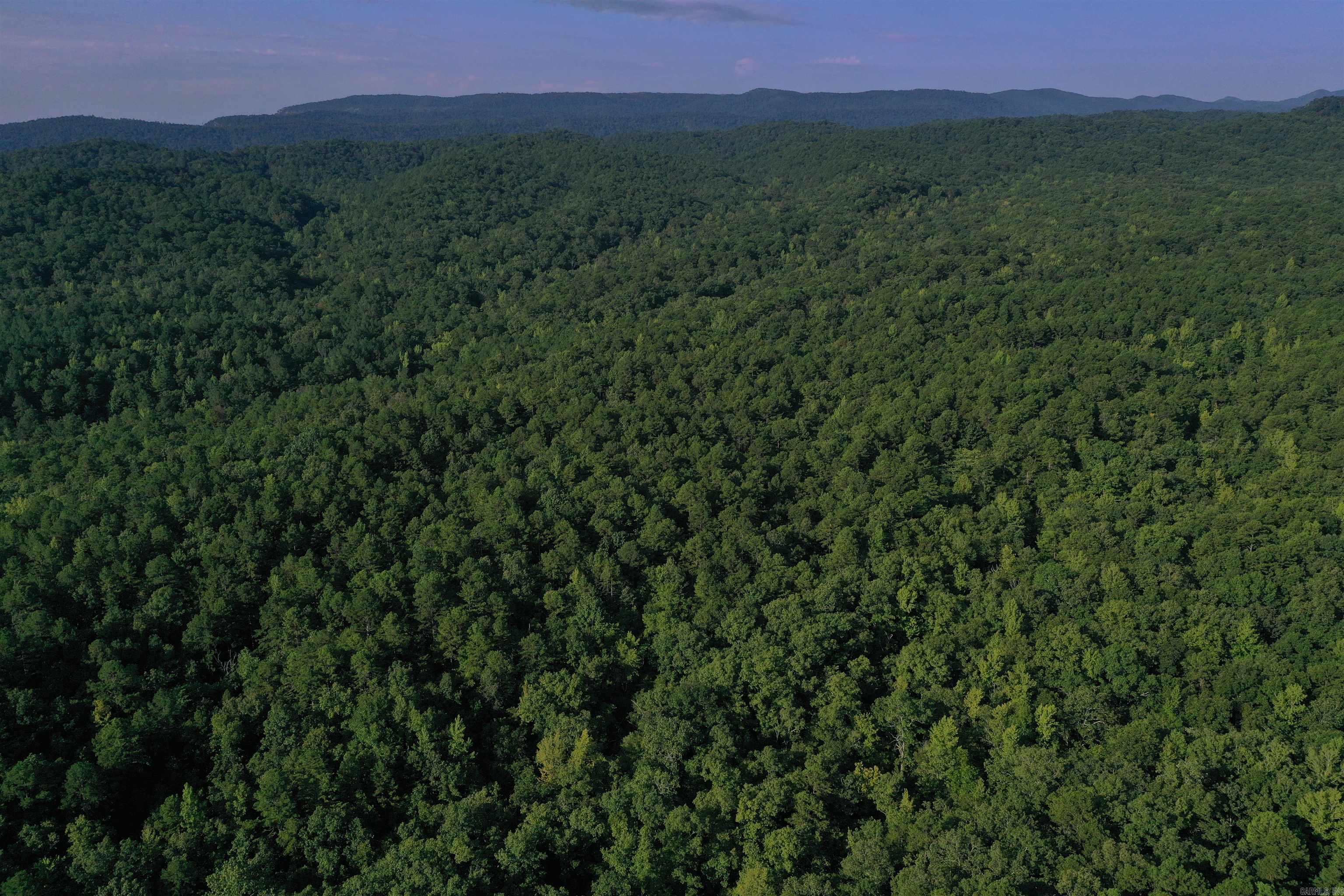 0000 Beech Creek Road  Norman, AR