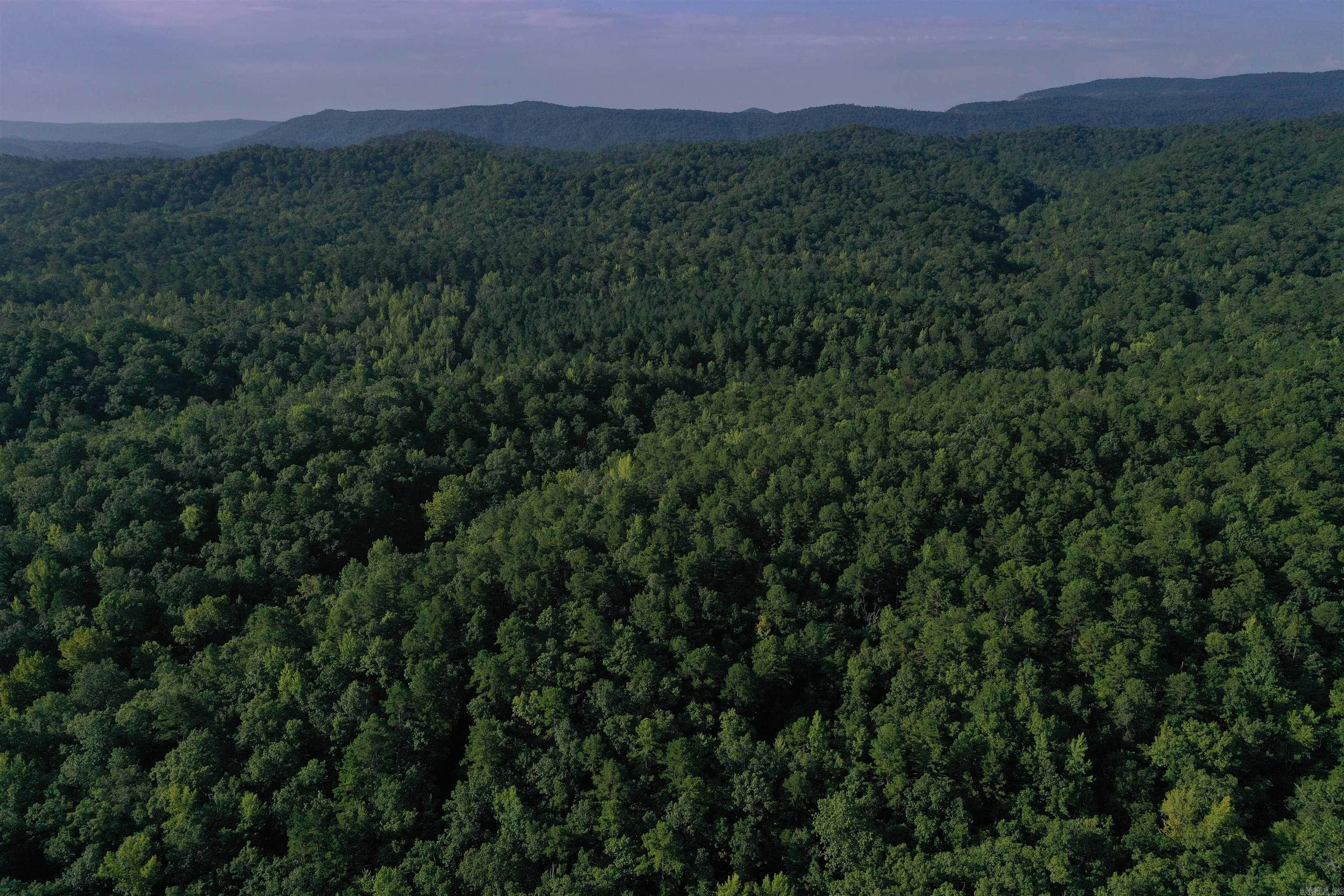 0000 Beech Creek Road  Norman, AR