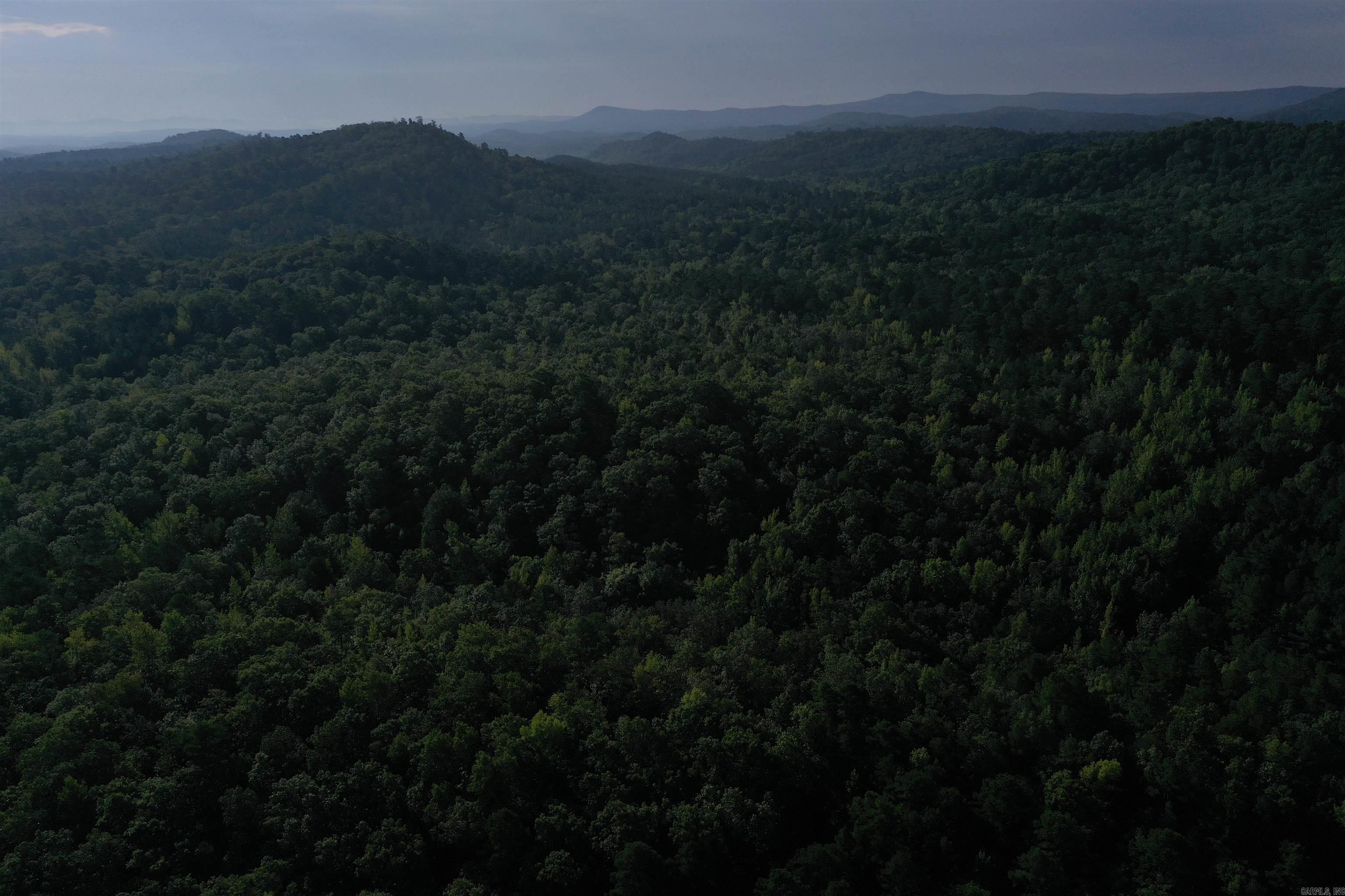 0000 Beech Creek Road  Norman, AR