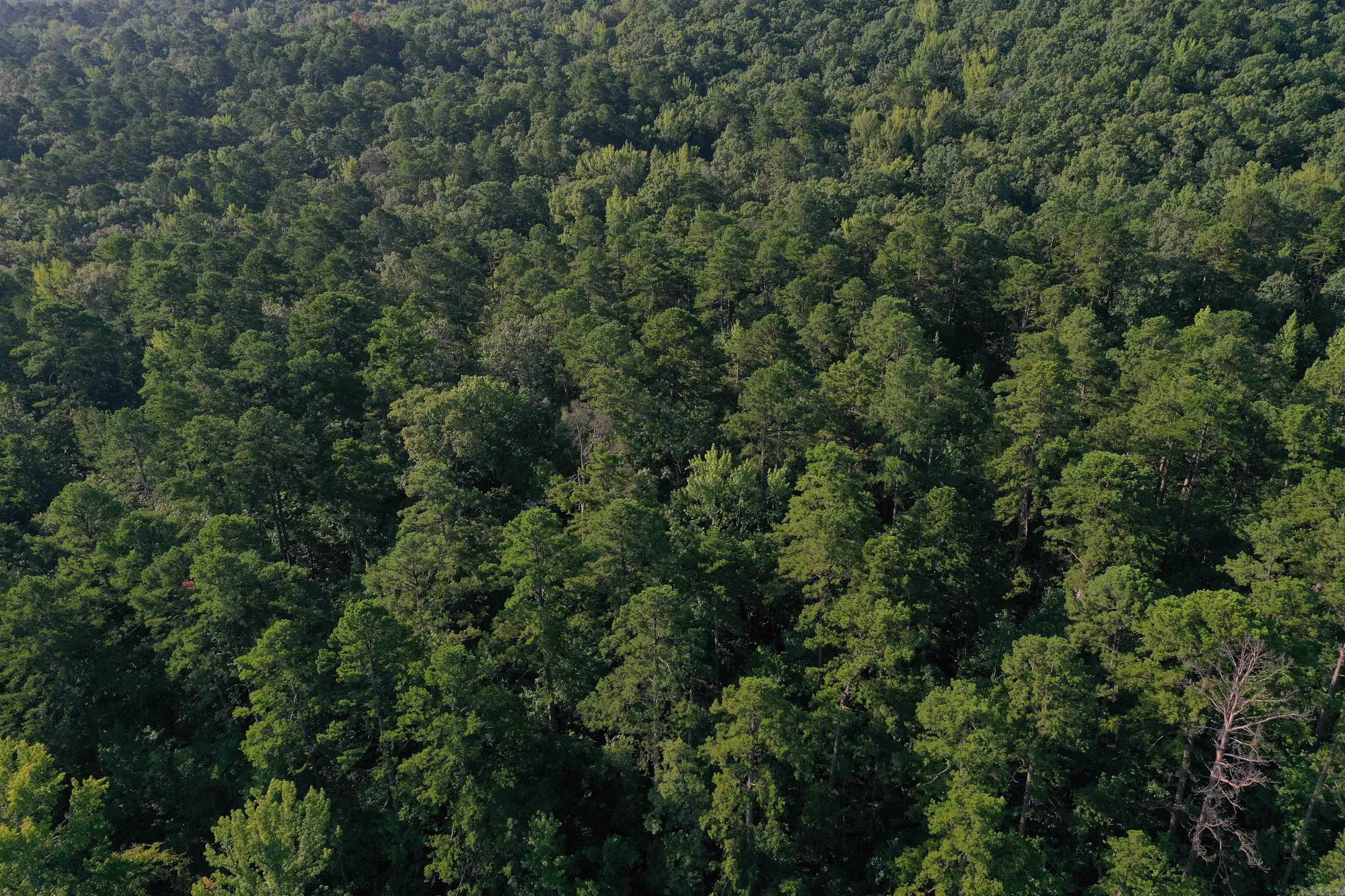 0000 Beech Creek Road  Norman, AR