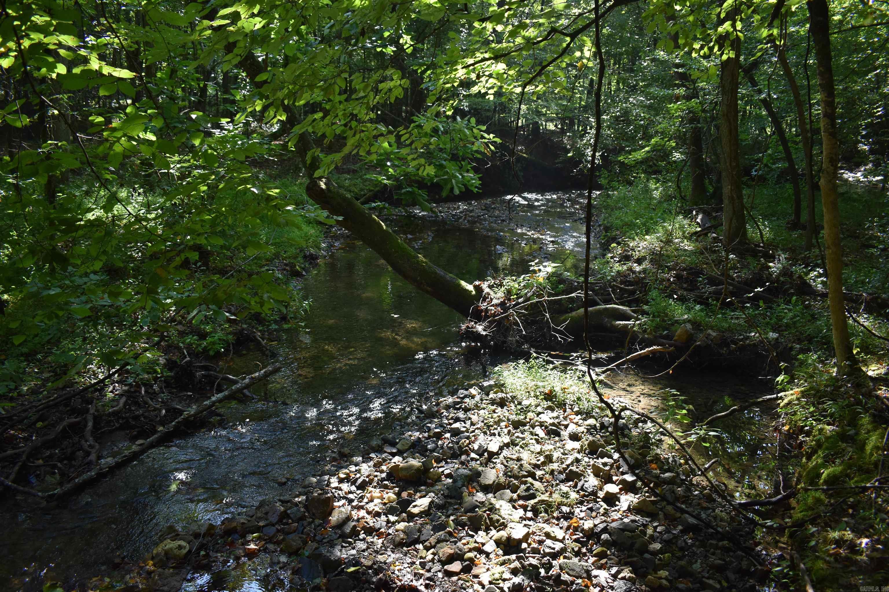 0000 Beech Creek Road  Norman, AR