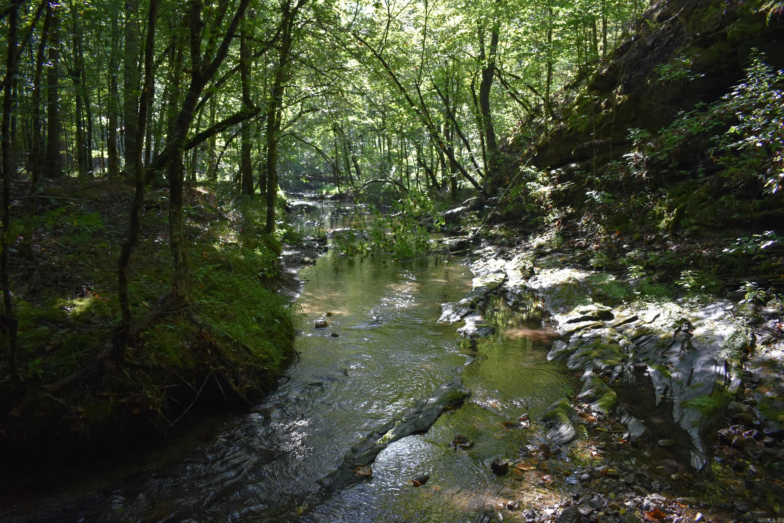 0000 Beech Creek Road  Norman, AR