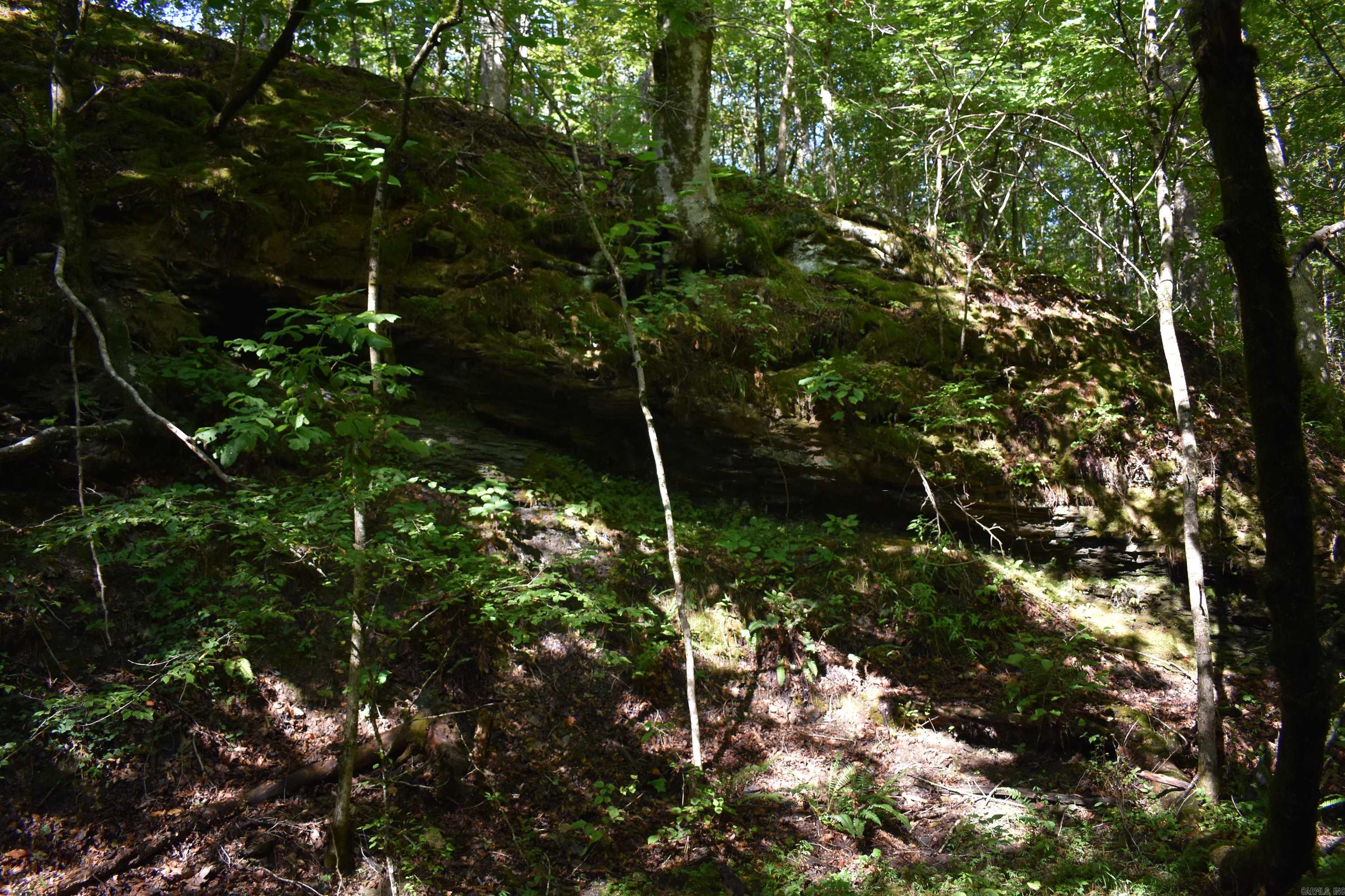 0000 Beech Creek Road  Norman, AR