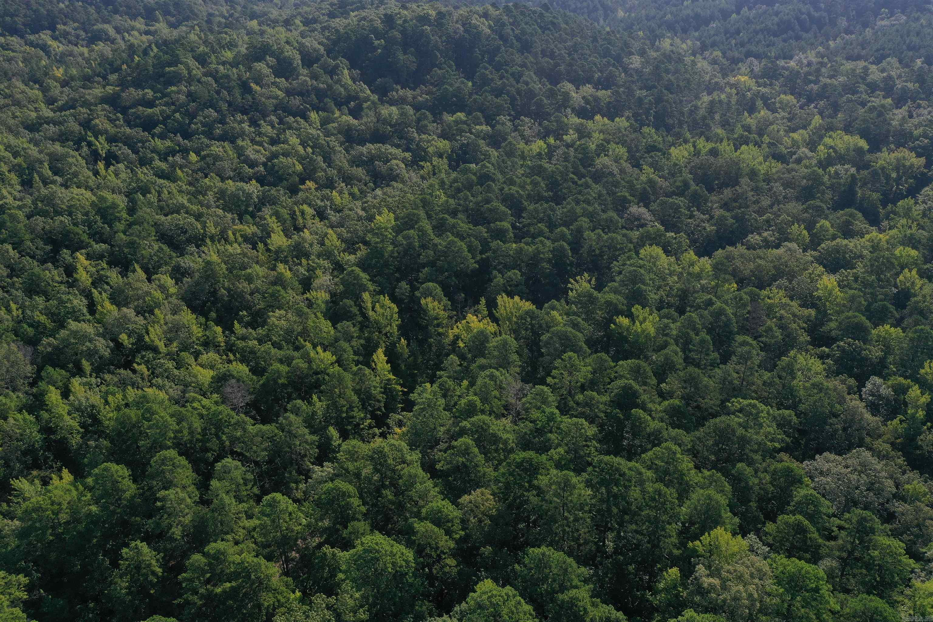 0000 Beech Creek Road  Norman, AR