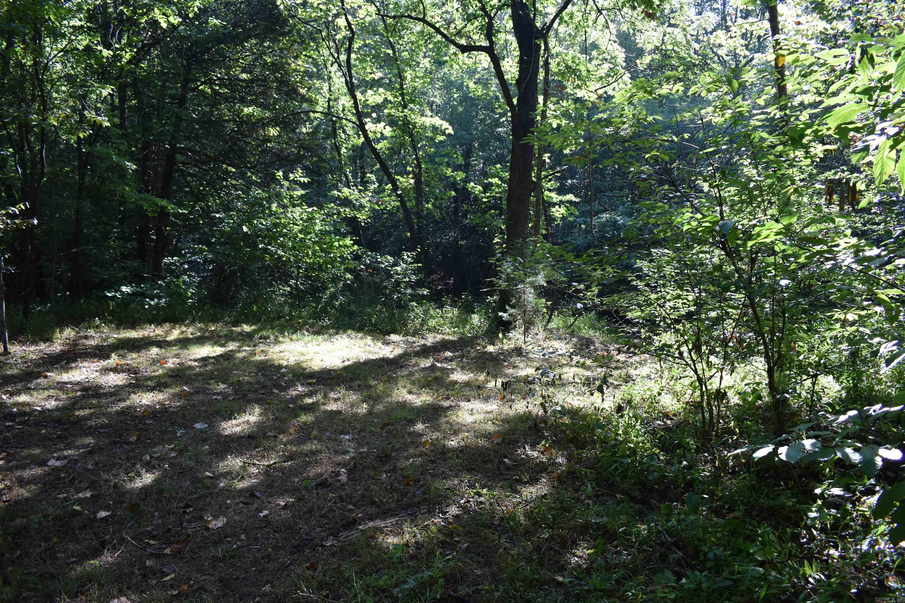 0000 Beech Creek Road  Norman, AR