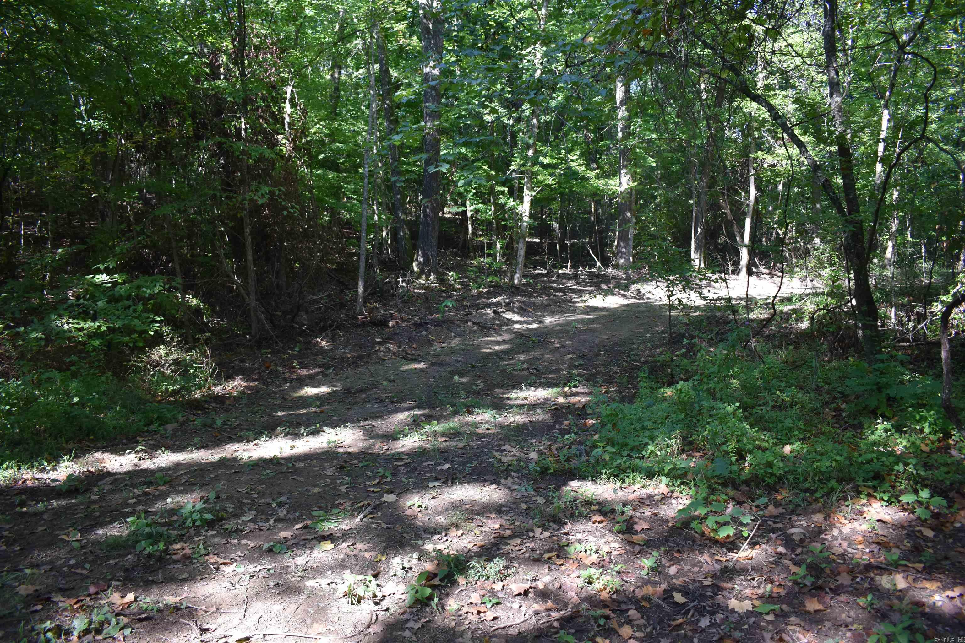 0000 Beech Creek Road  Norman, AR