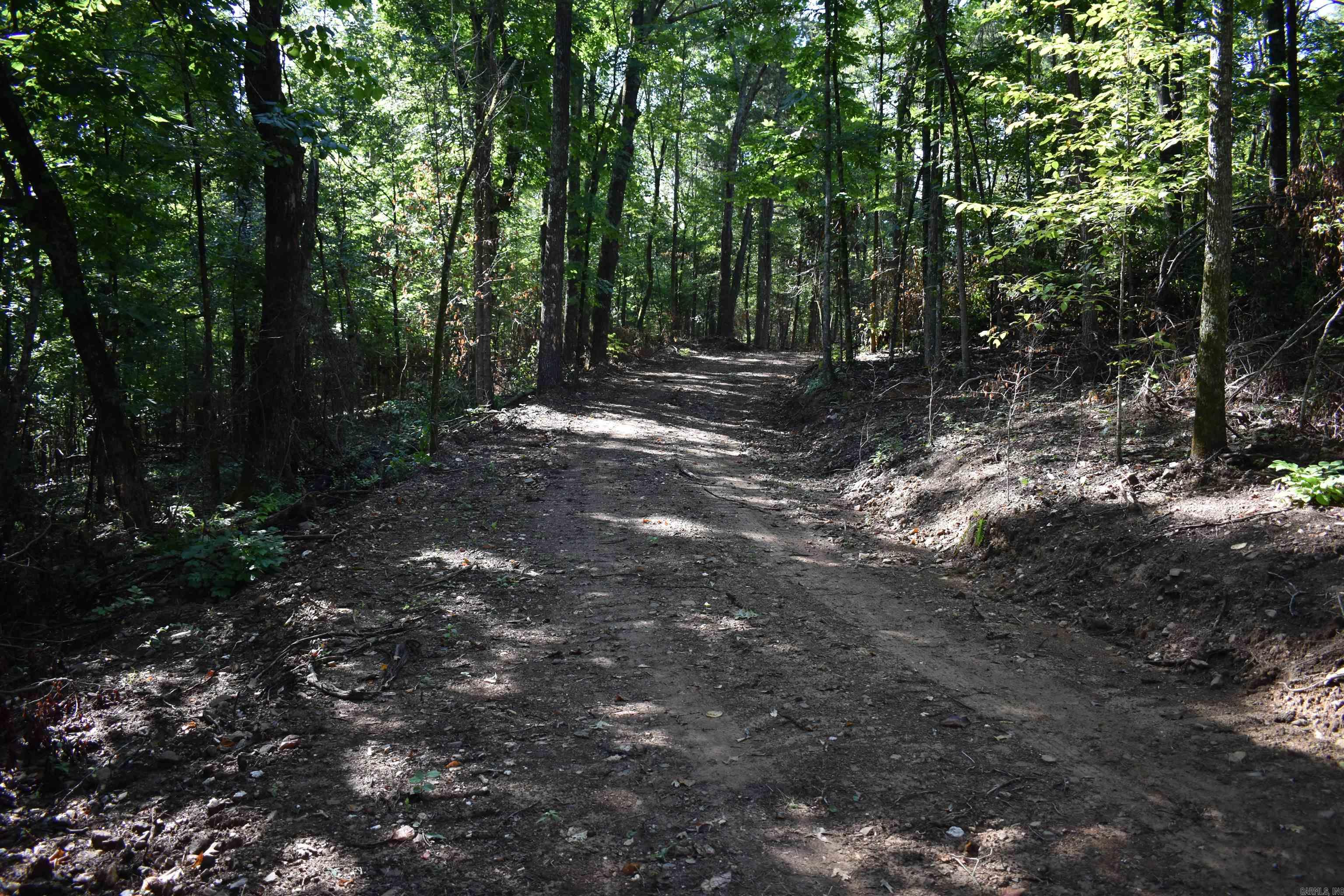 0000 Beech Creek Road  Norman, AR