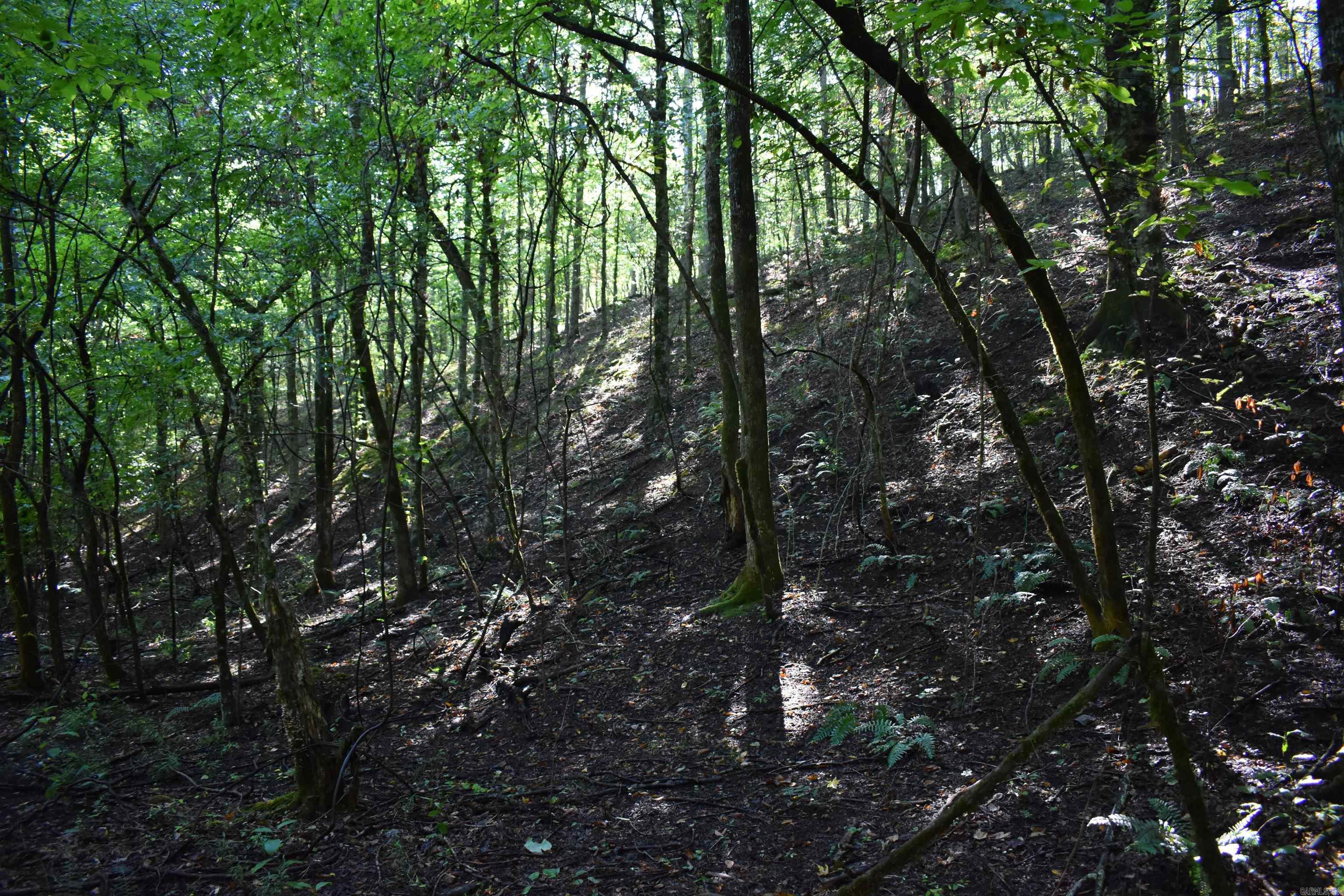 0000 Beech Creek Road  Norman, AR