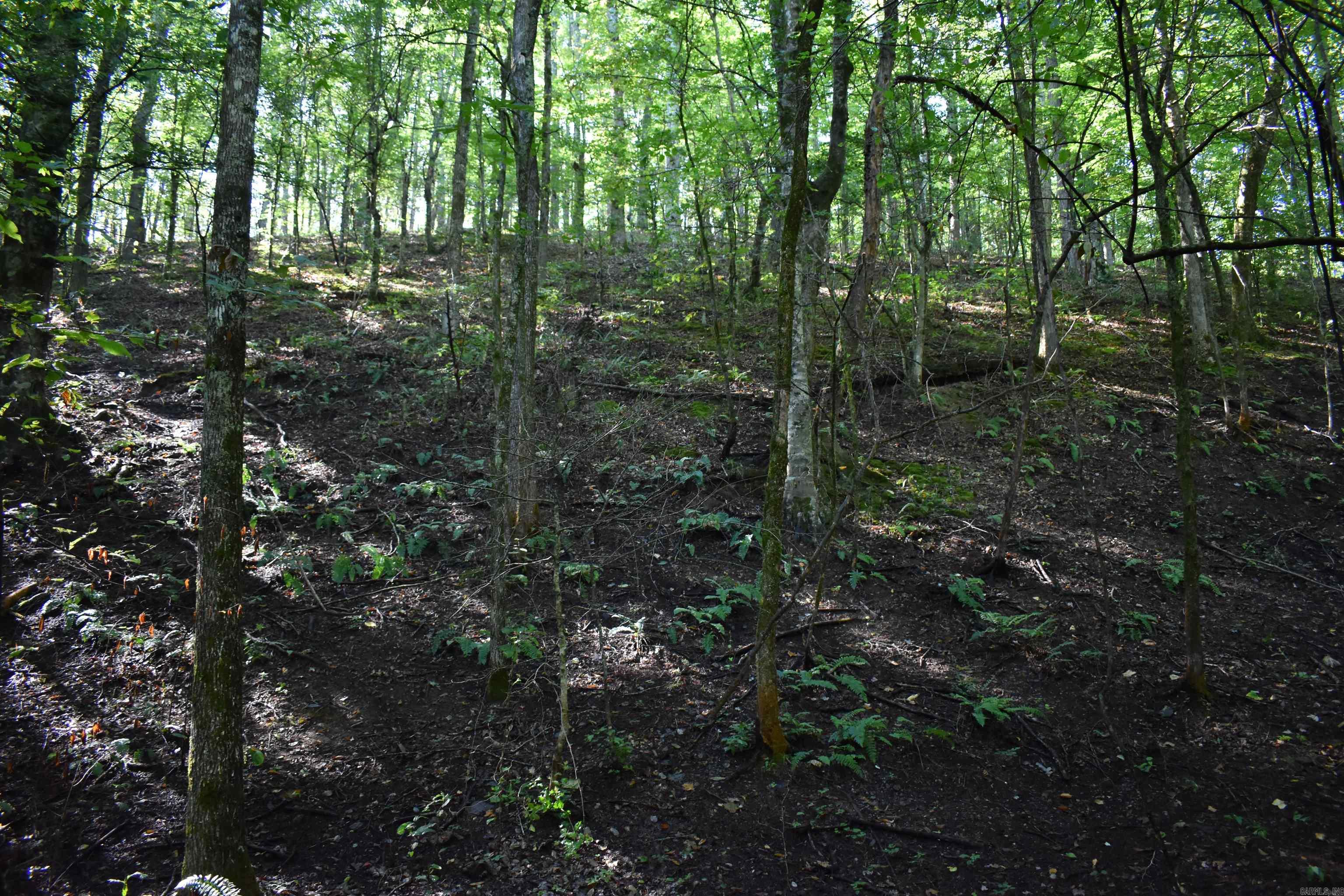 0000 Beech Creek Road  Norman, AR