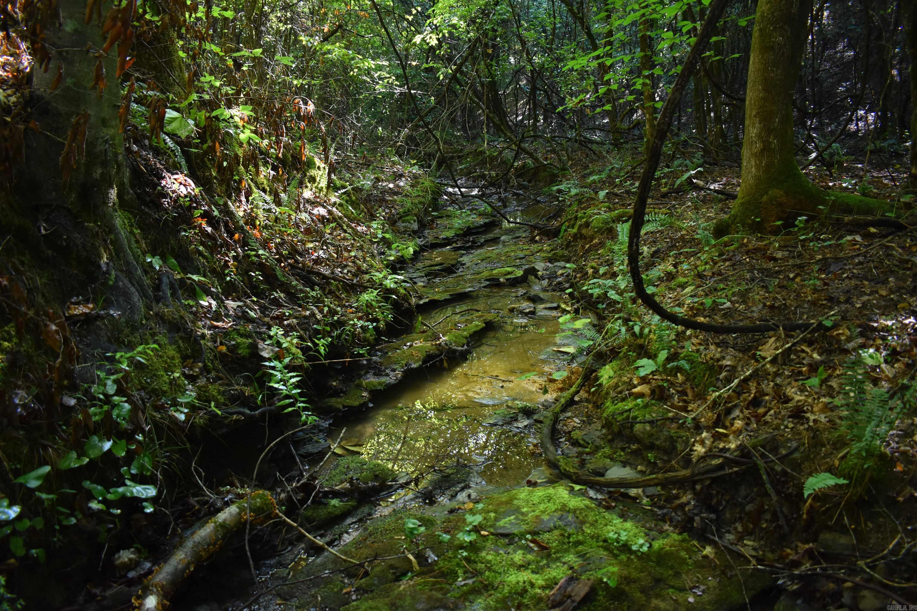 0000 Beech Creek Road  Norman, AR