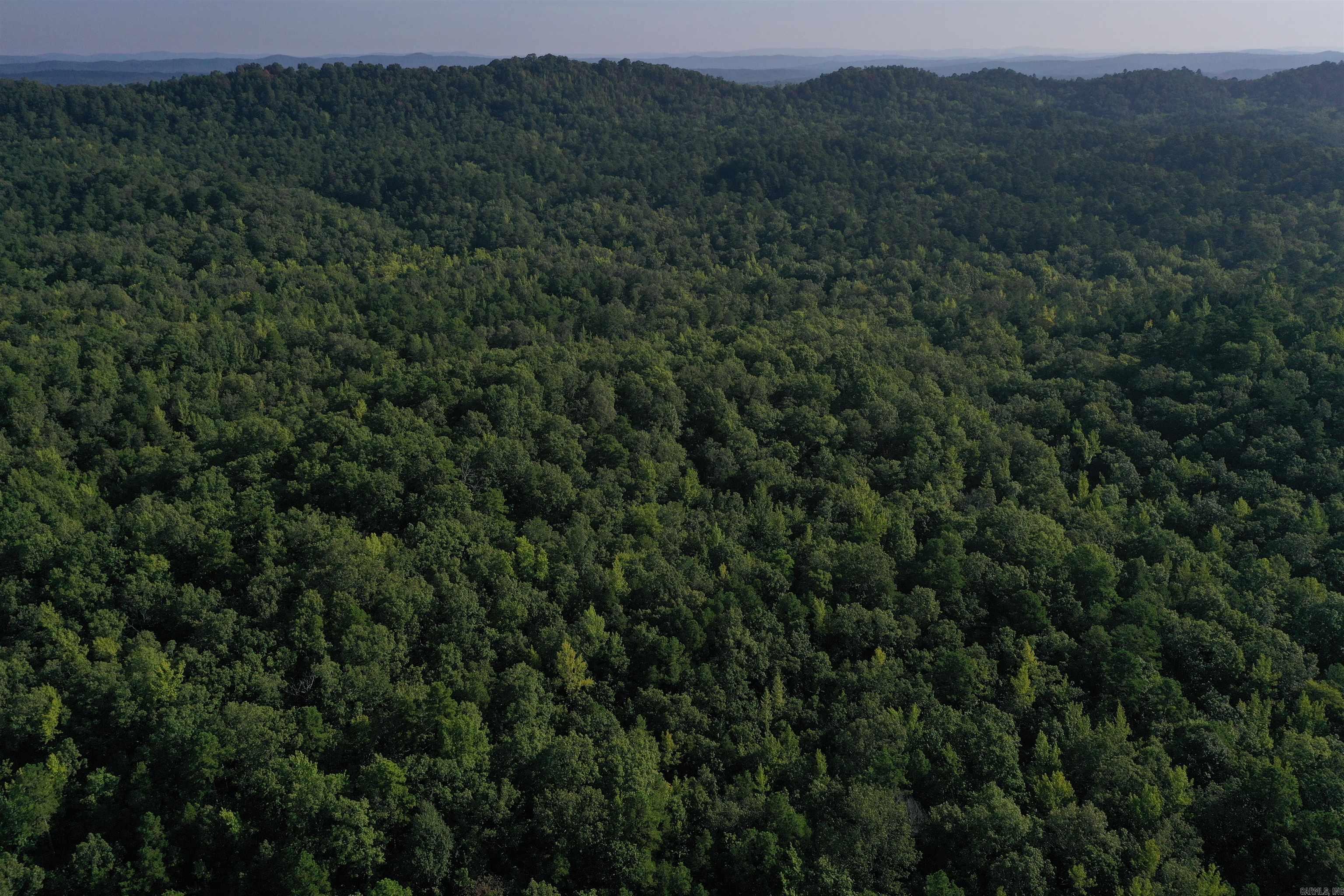 0000 Beech Creek Road  Norman, AR