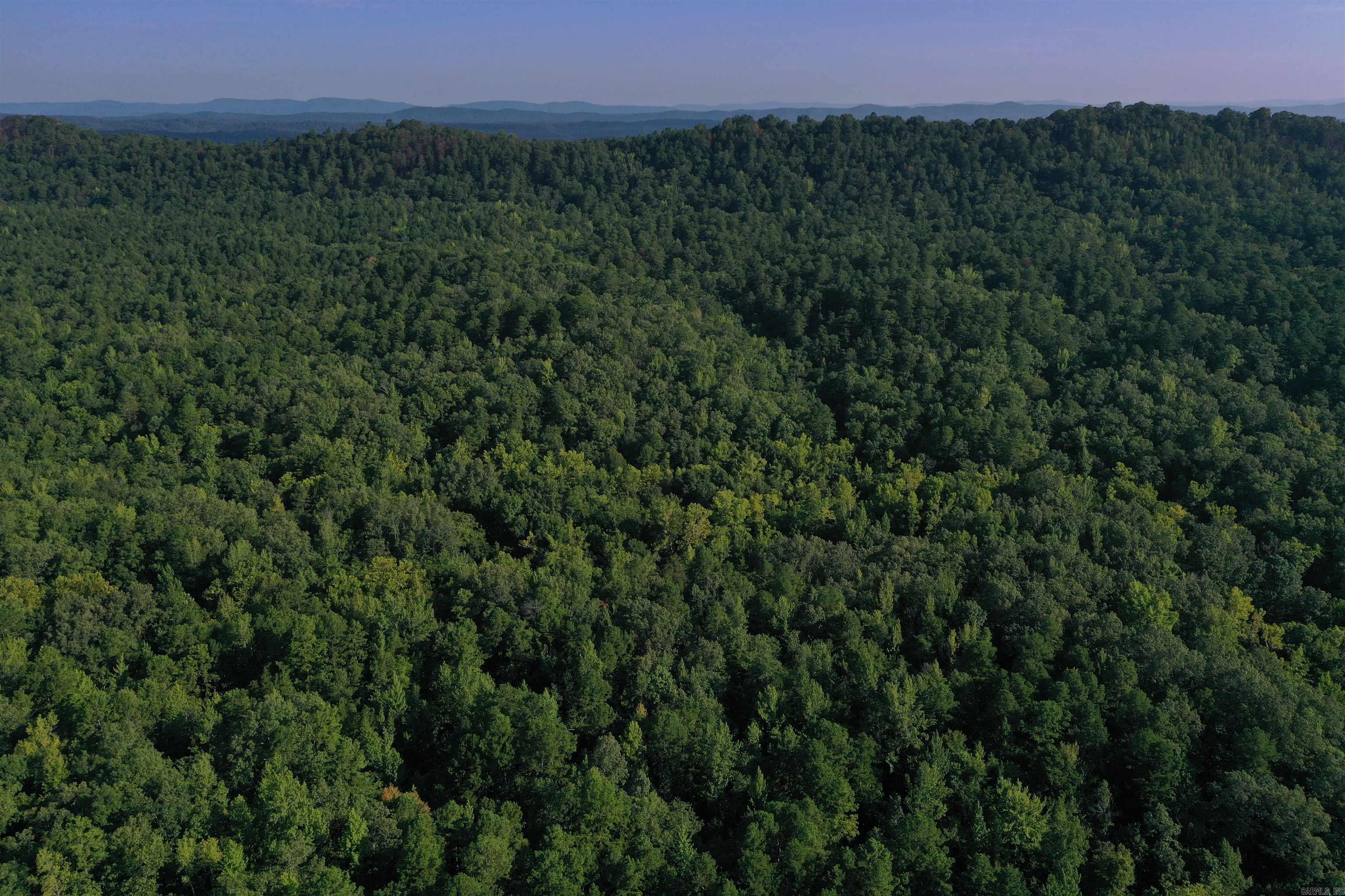 0000 Beech Creek Road  Norman, AR