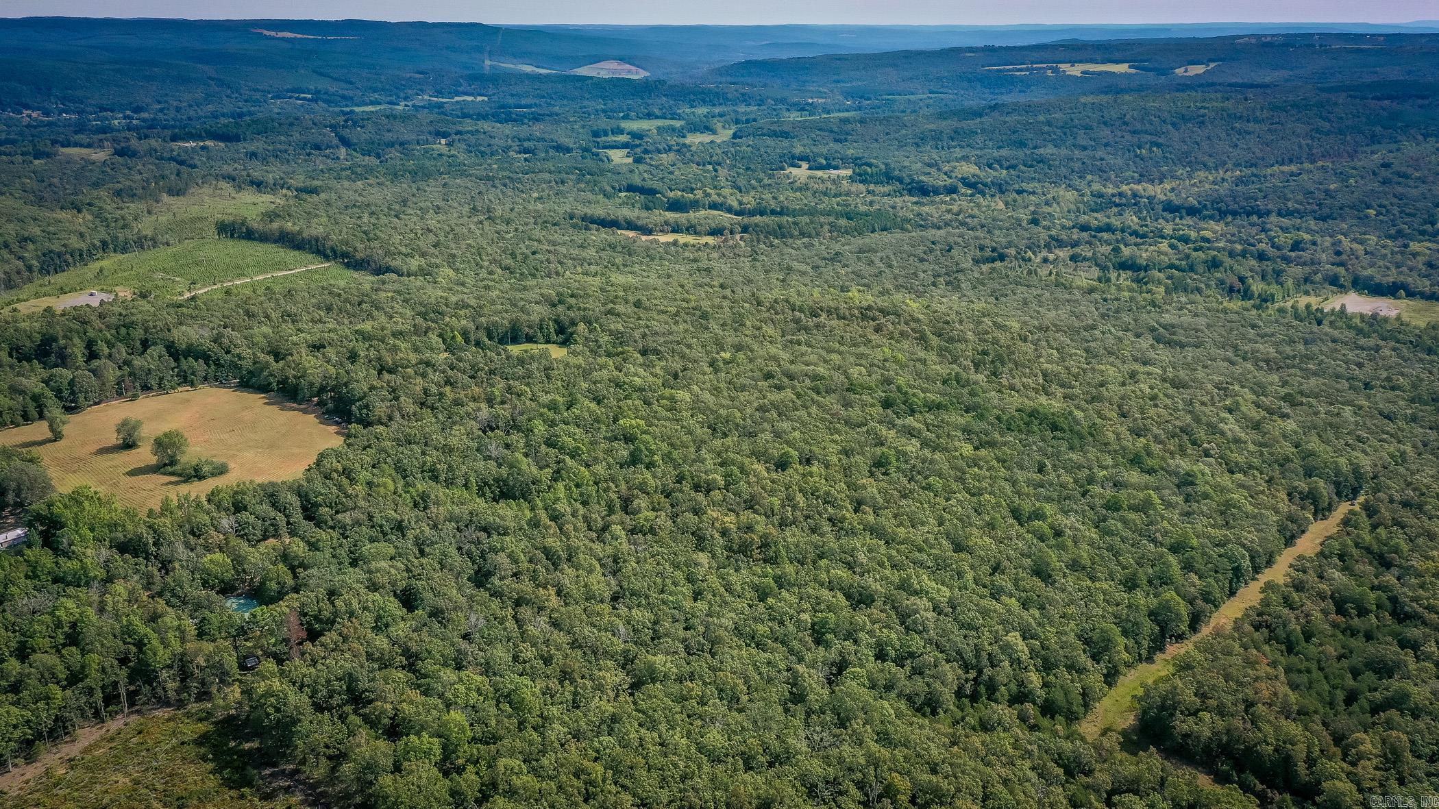 4547 Buttercreek Road  Scotland, AR